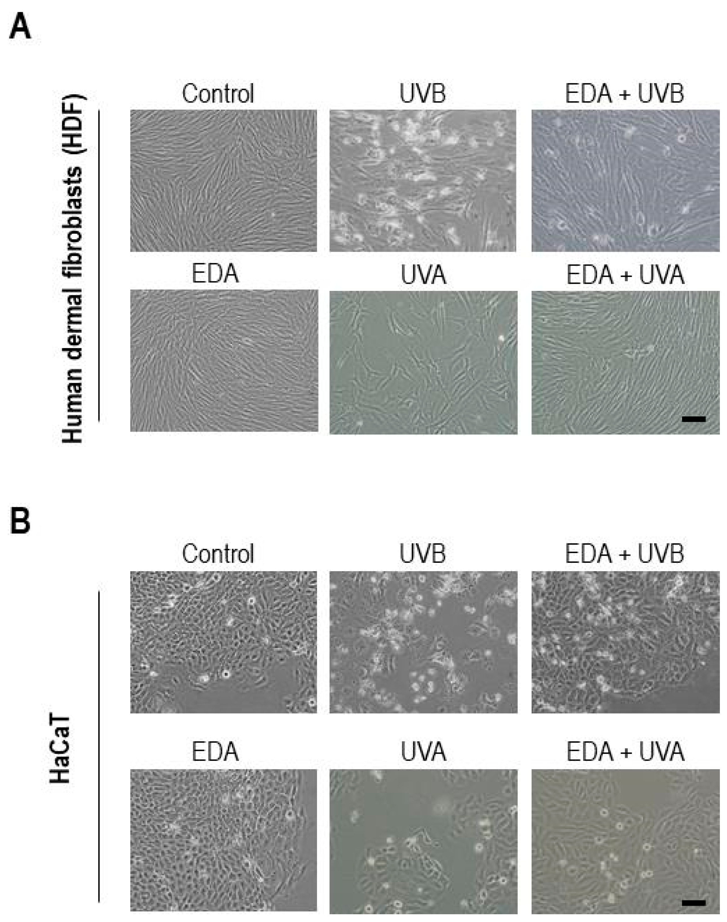 Ijms 20 01356 g001 550