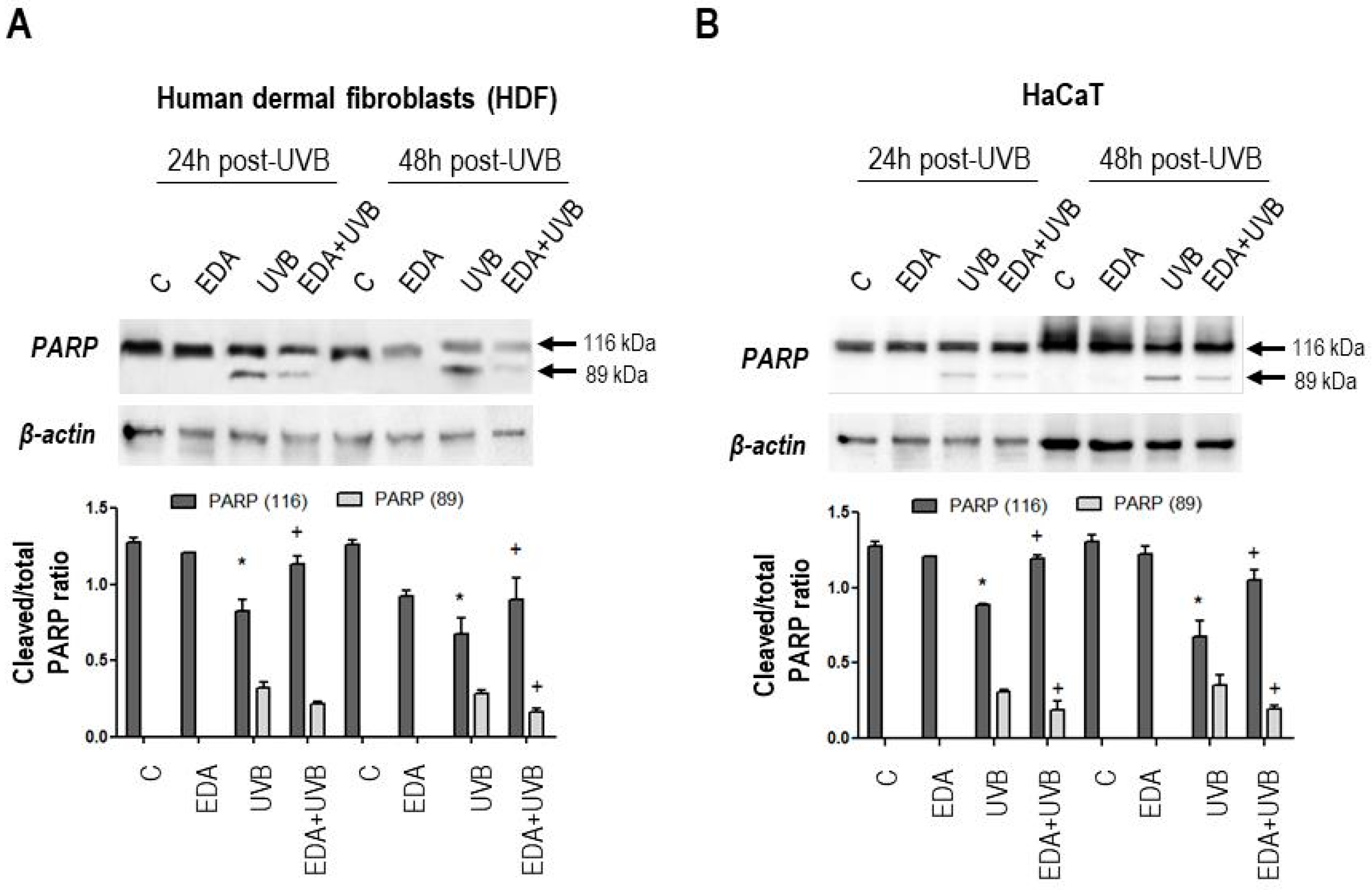 Ijms 20 01356 g003 550