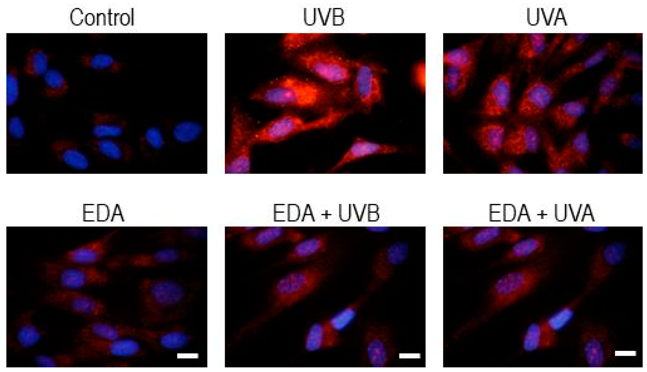 Ijms 20 01356 g005 550