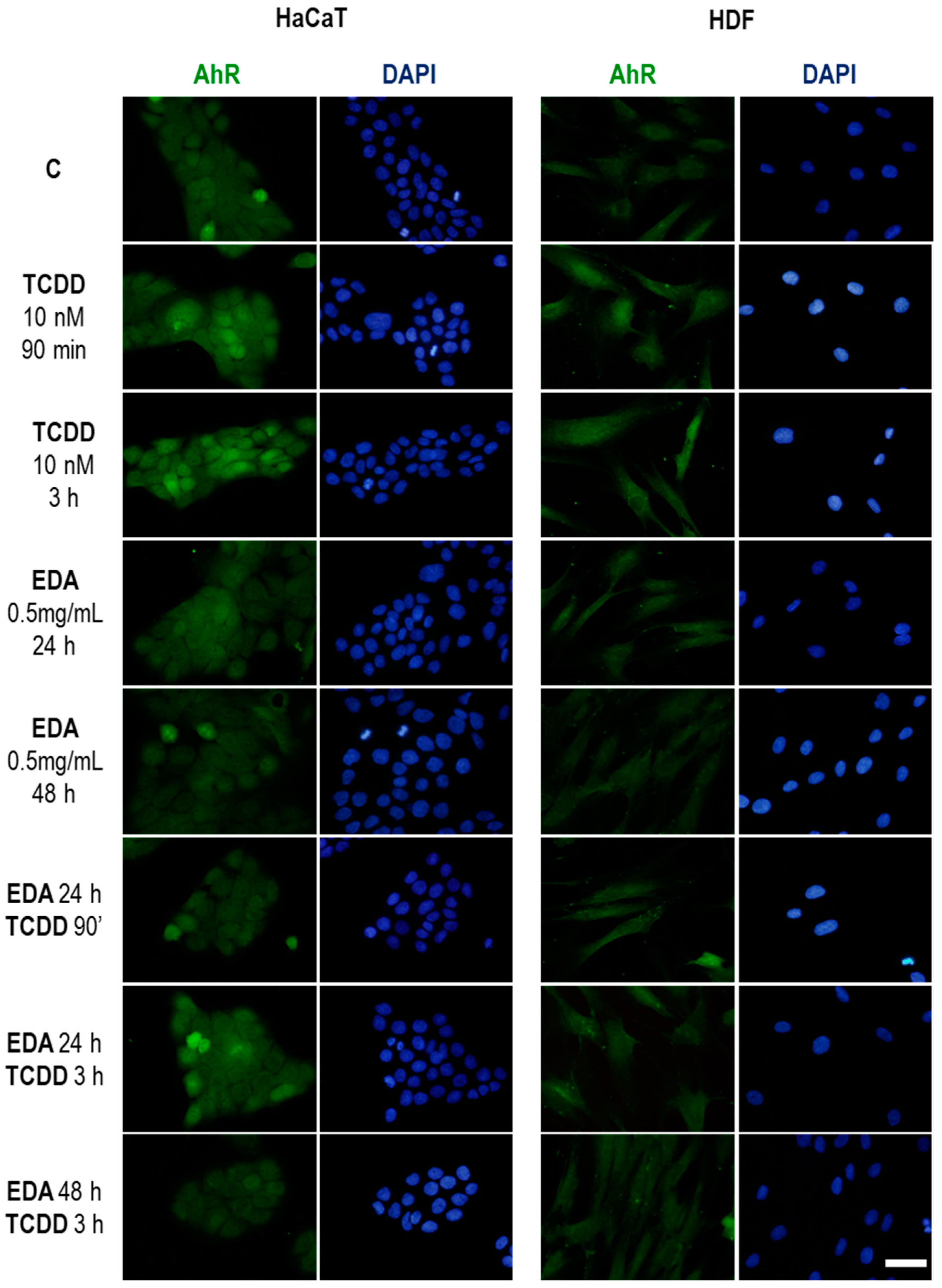 Ijms 20 01356 g007 550
