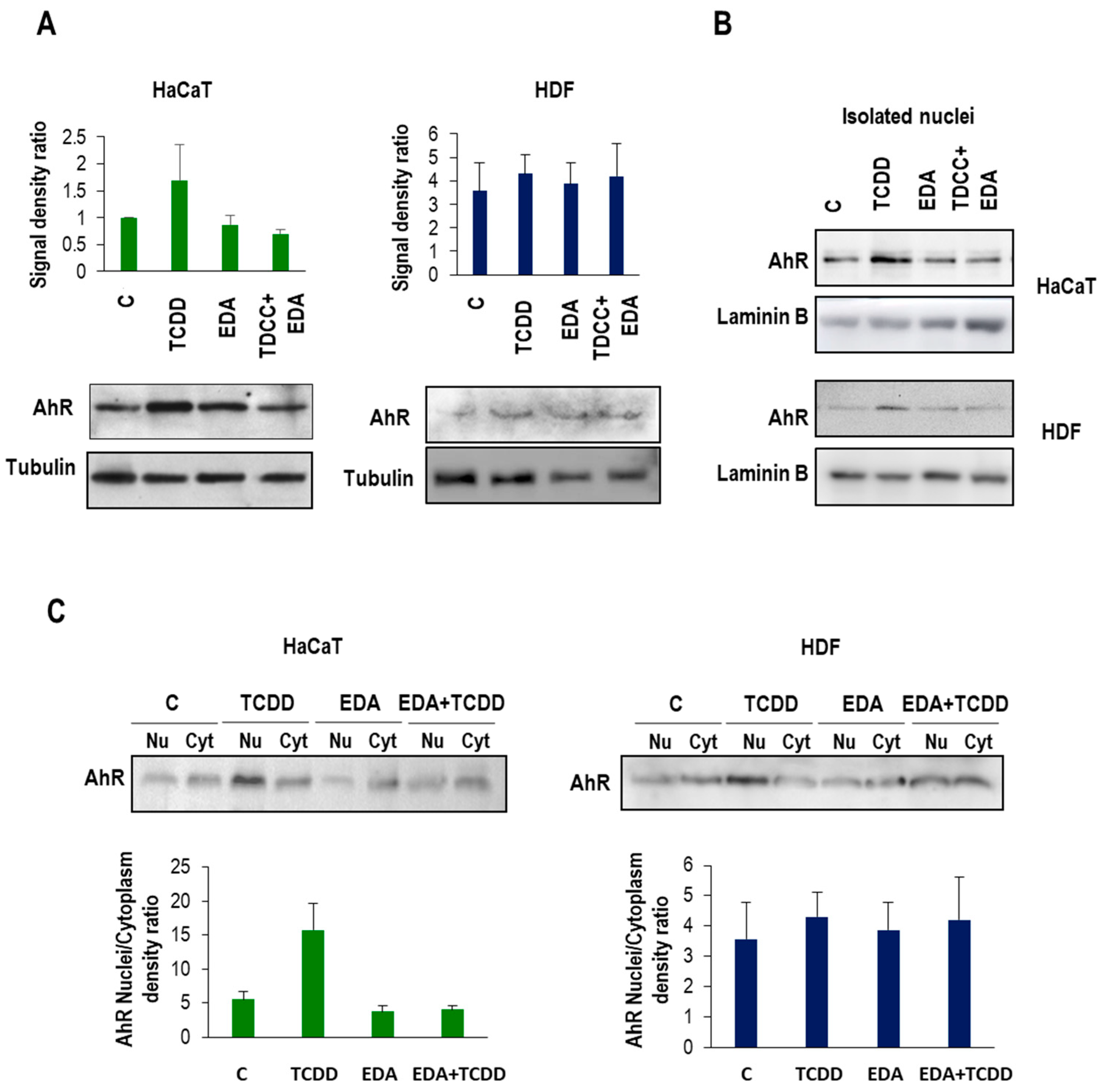 Ijms 20 01356 g008 550