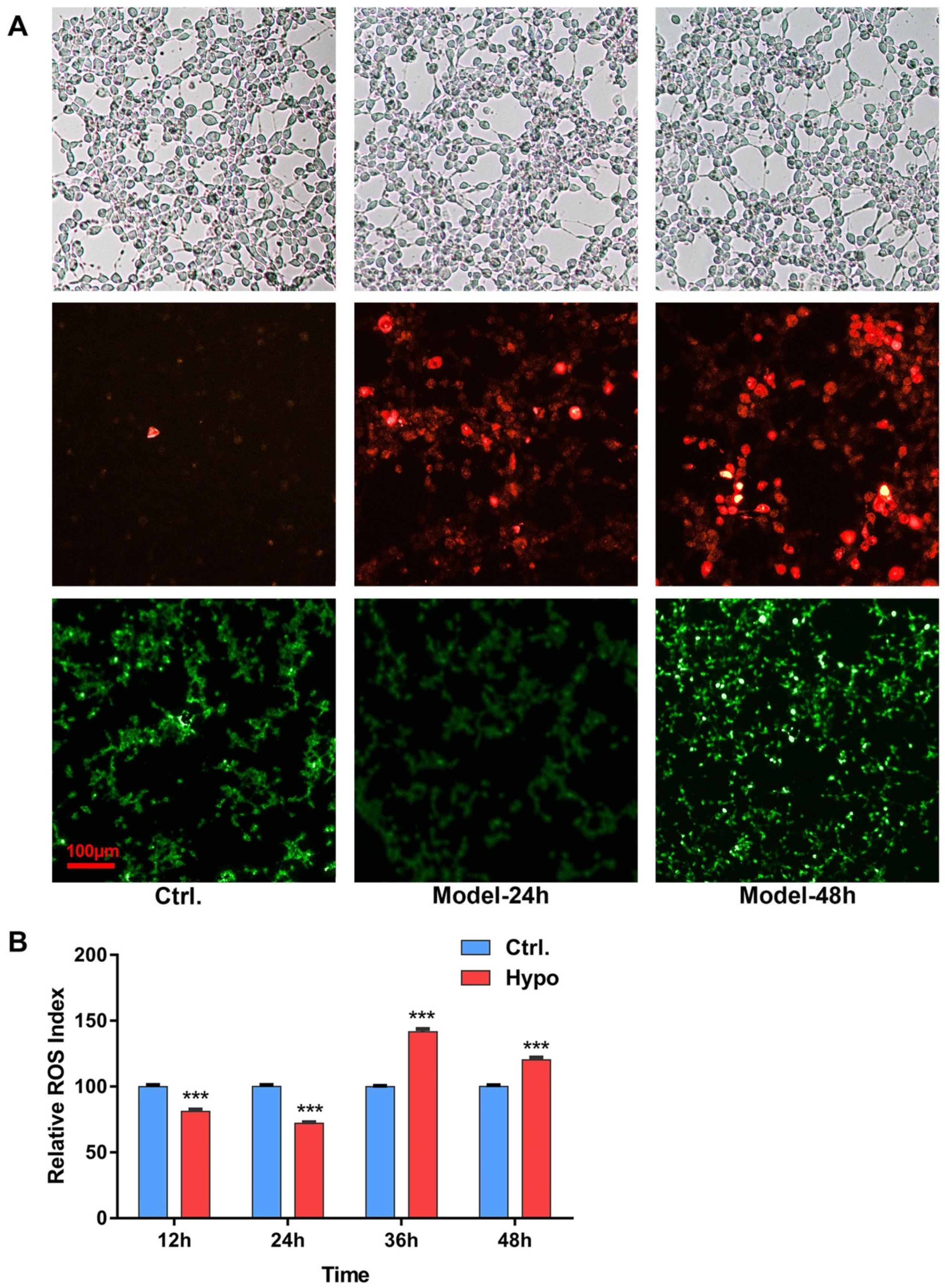 Ijms 20 01364 g001 550
