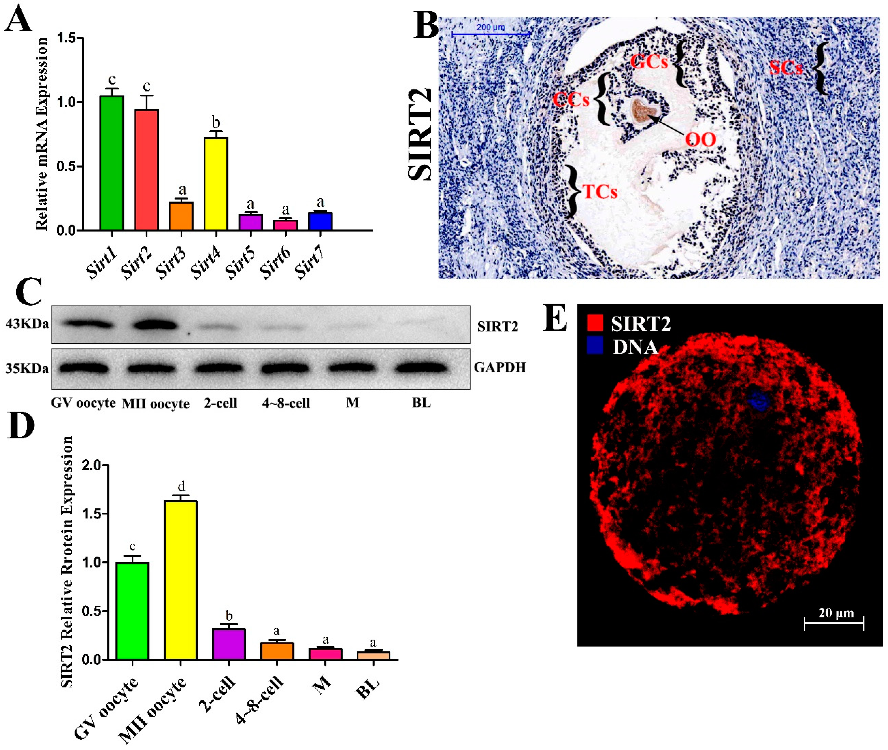 Ijms 20 01365 g001 Ijms 20 01365 g001