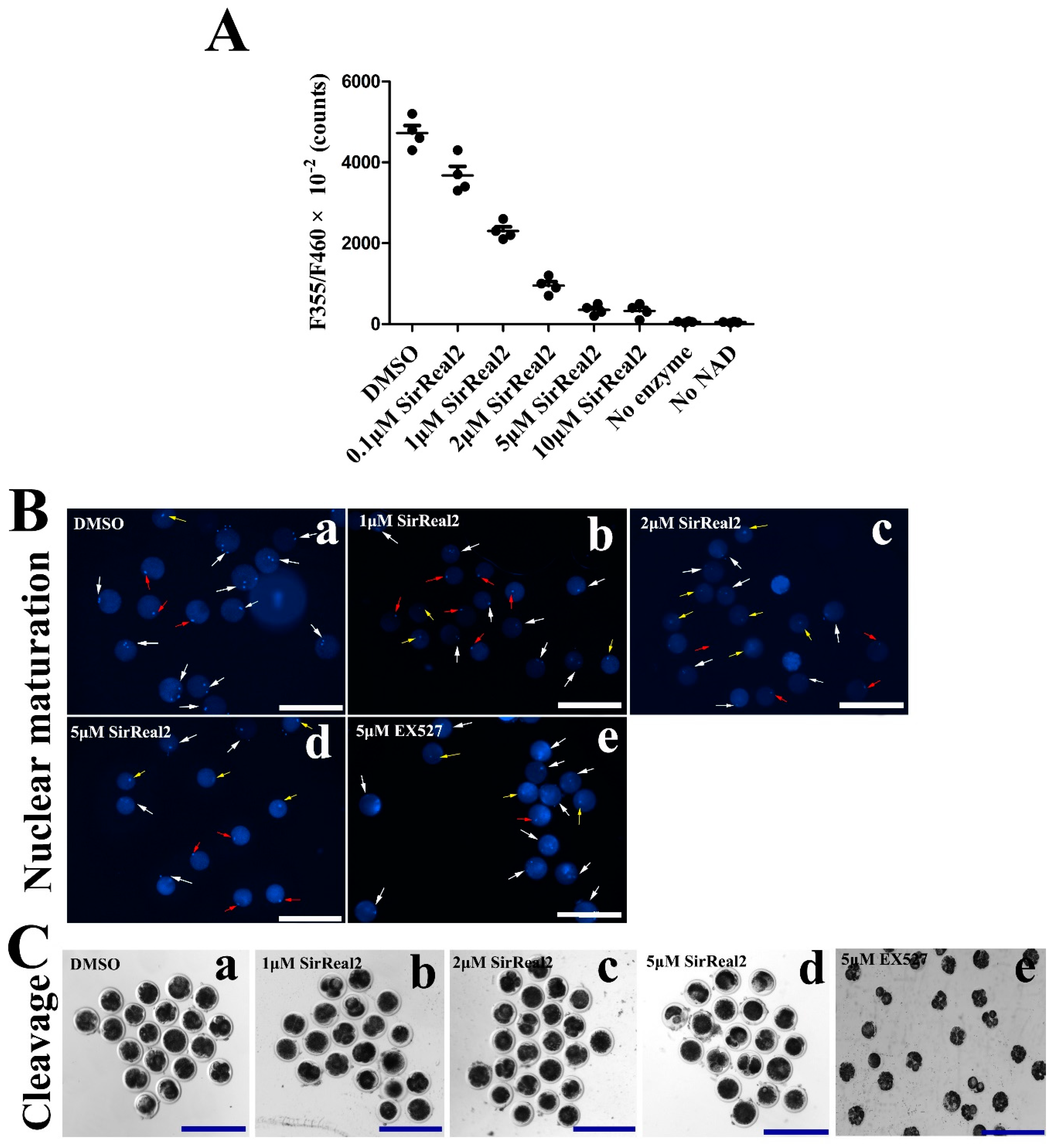 Ijms 20 01365 g002 Ijms 20 01365 g002