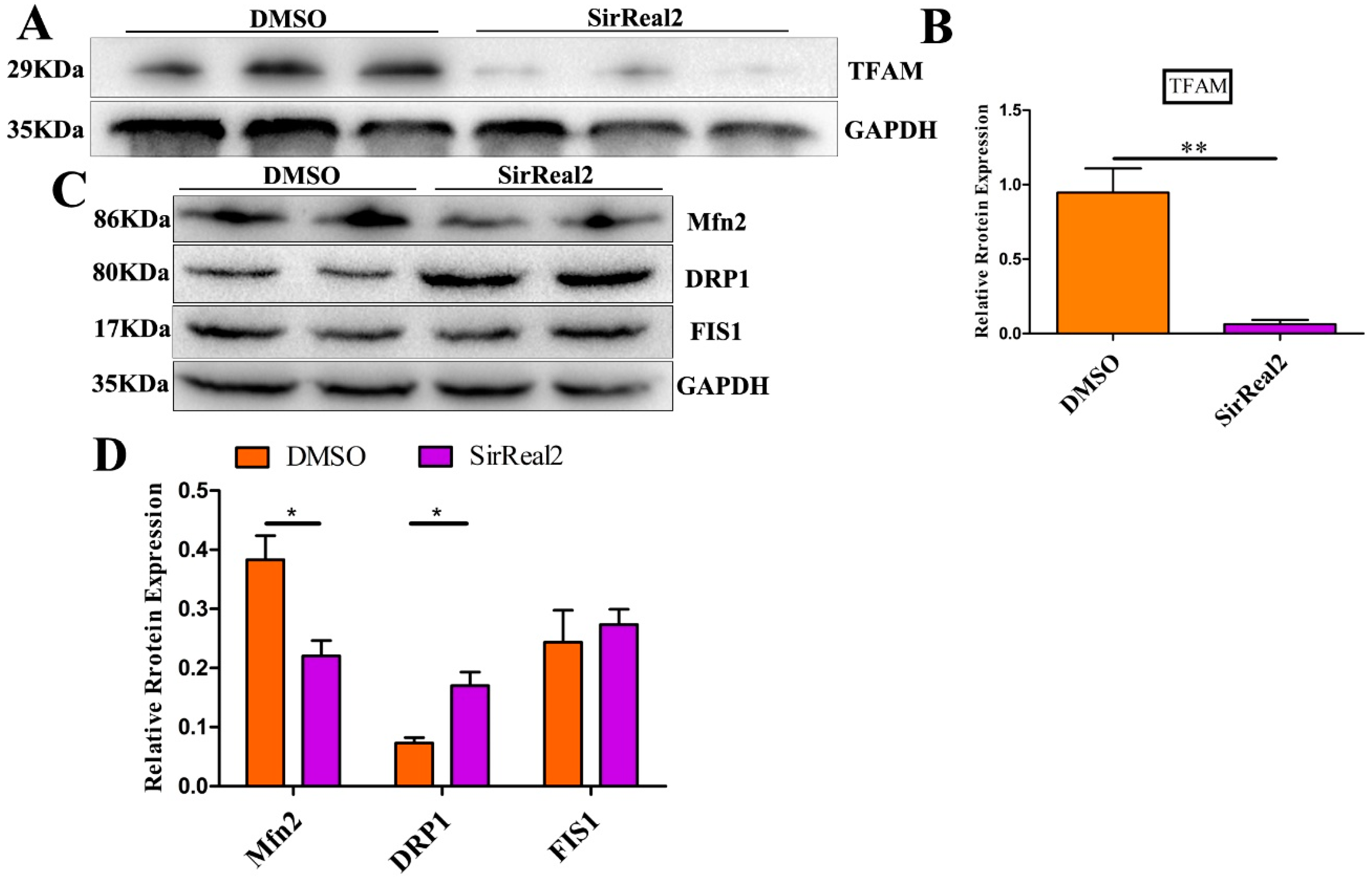Ijms 20 01365 g006 Ijms 20 01365 g006