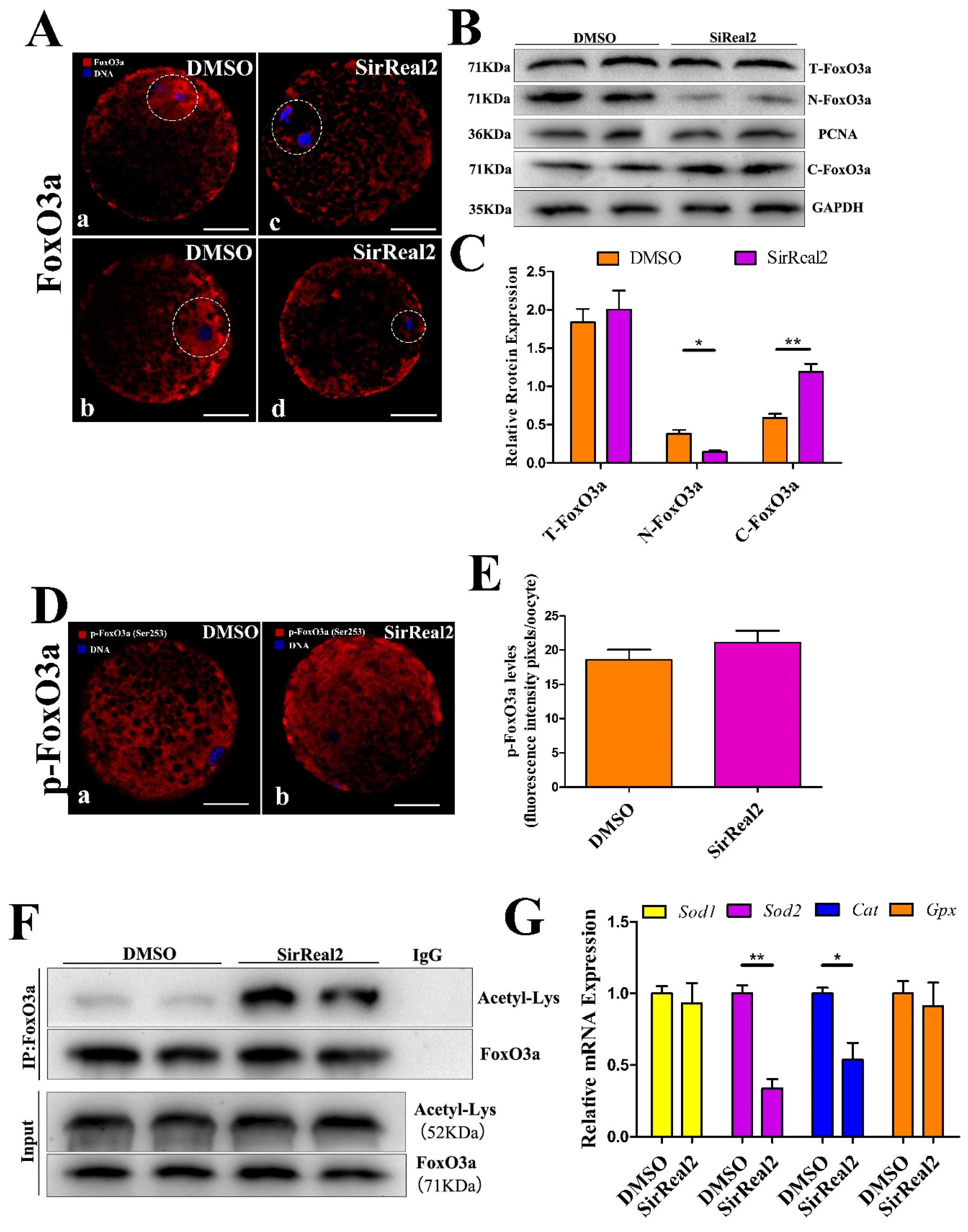 Ijms 20 01365 g007 Ijms 20 01365 g007
