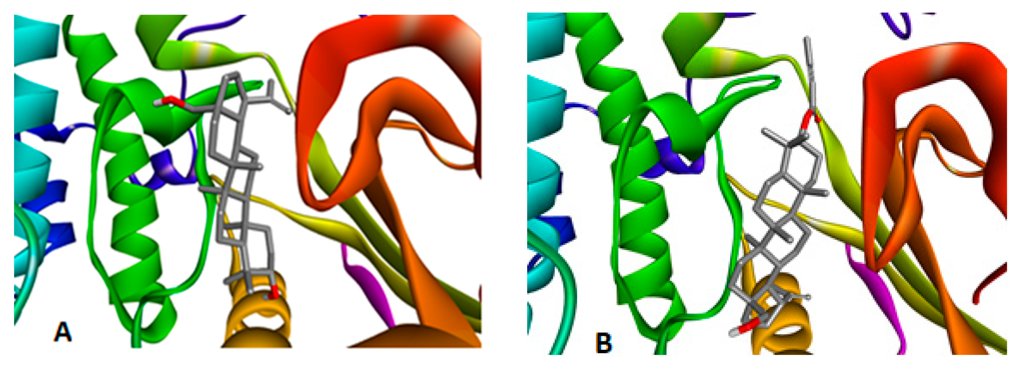 Ijms 20 01372 g003 550