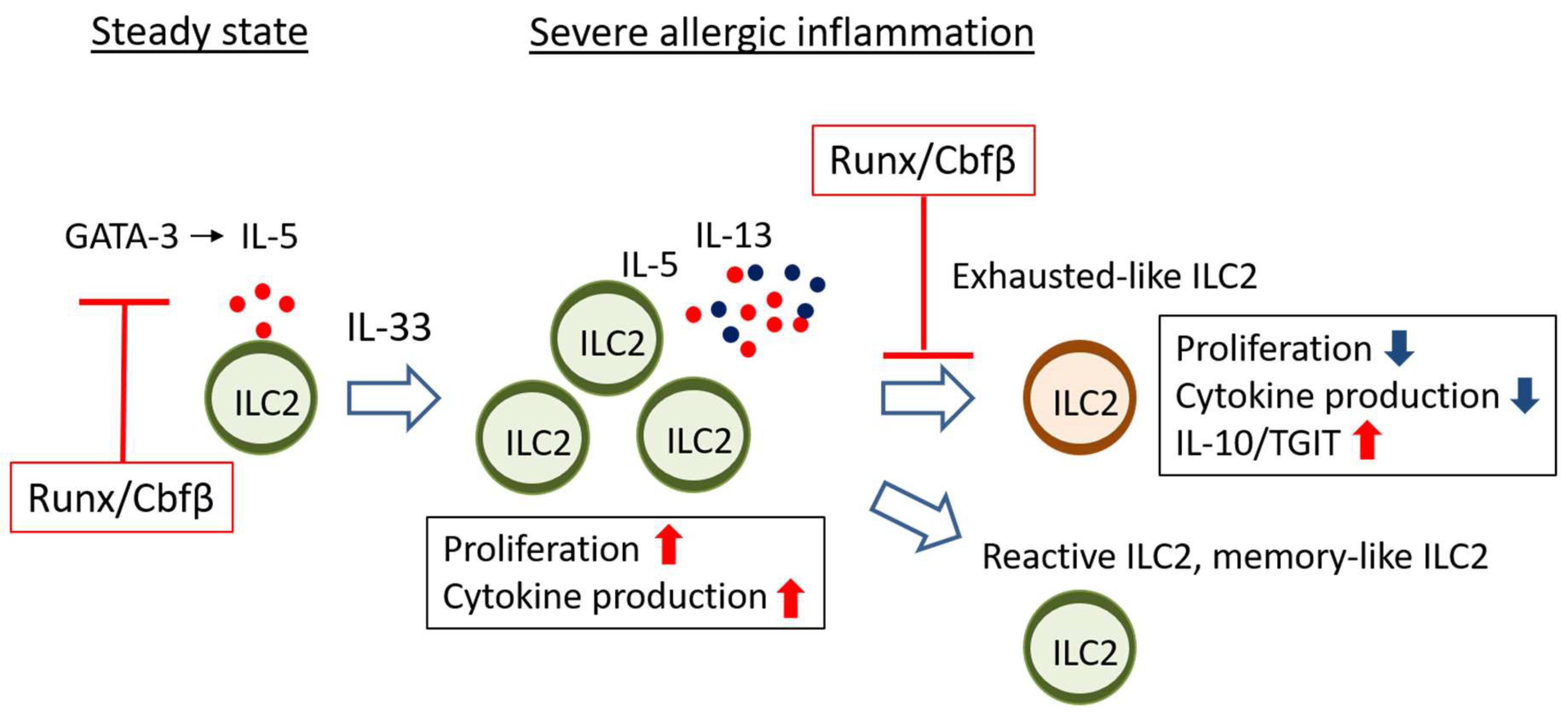 Ijms 20 01377 g002 Ijms 20 01377 g002