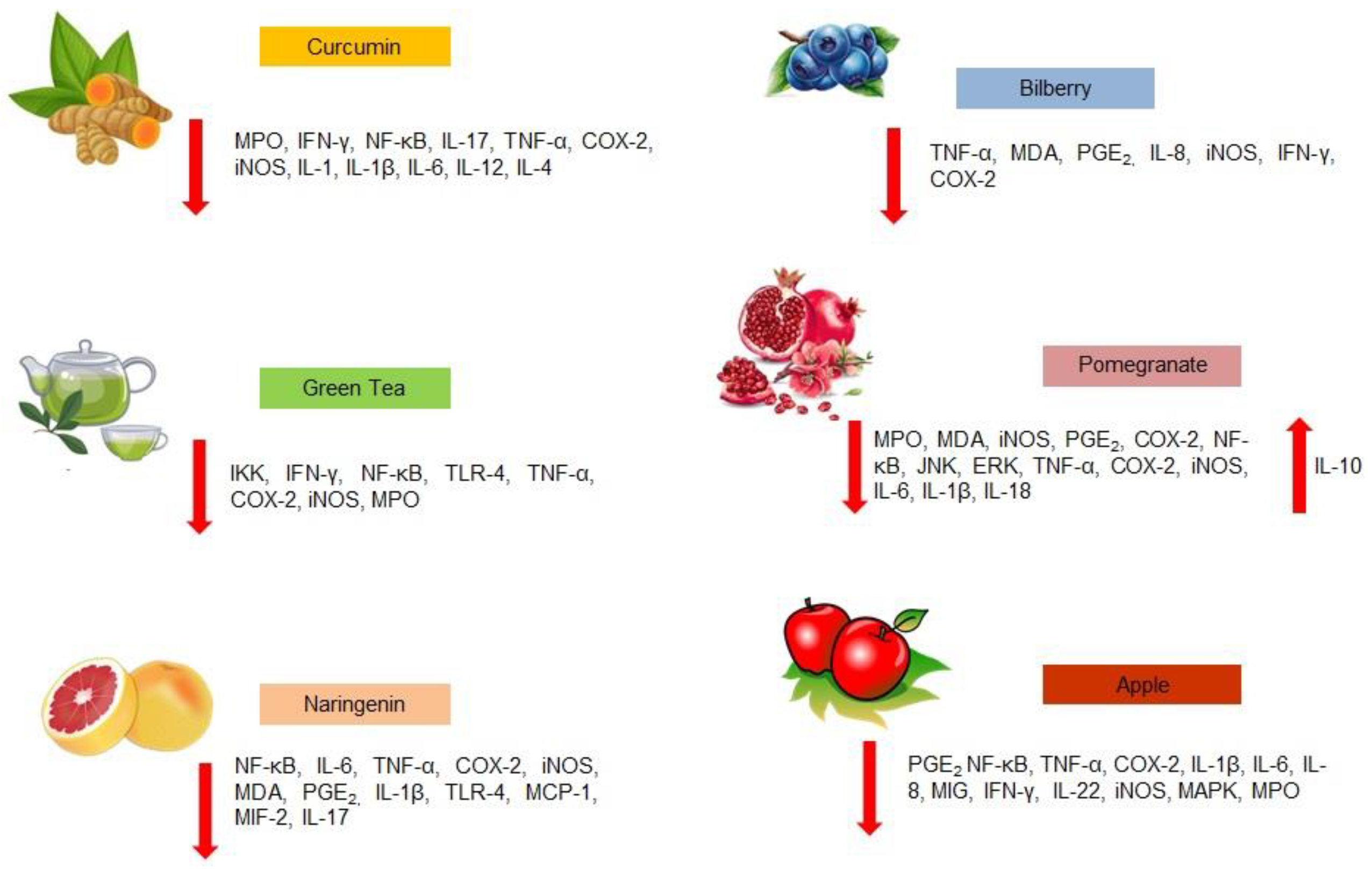 Ijms Free Full Text Olive Tree Biophenols In Inflammatory Bowel Disease When Bitter Is Better Html