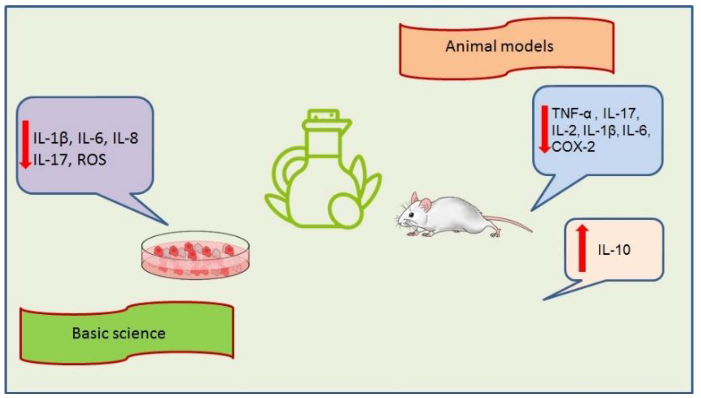 Ijms Free Full Text Olive Tree Biophenols In Inflammatory Bowel Disease When Bitter Is Better Html