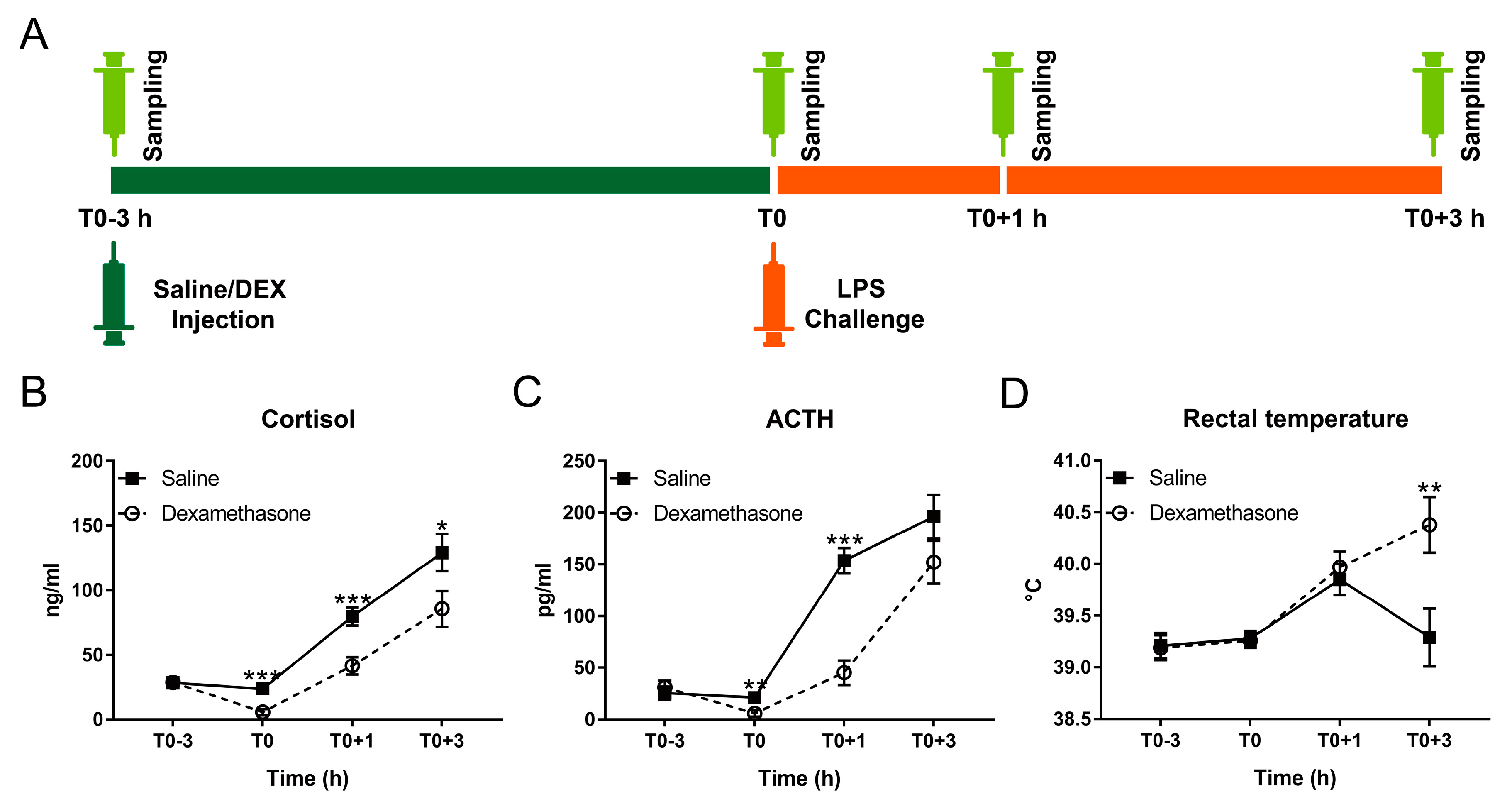 Ijms 20 01393 g001 Ijms 20 01393 g001