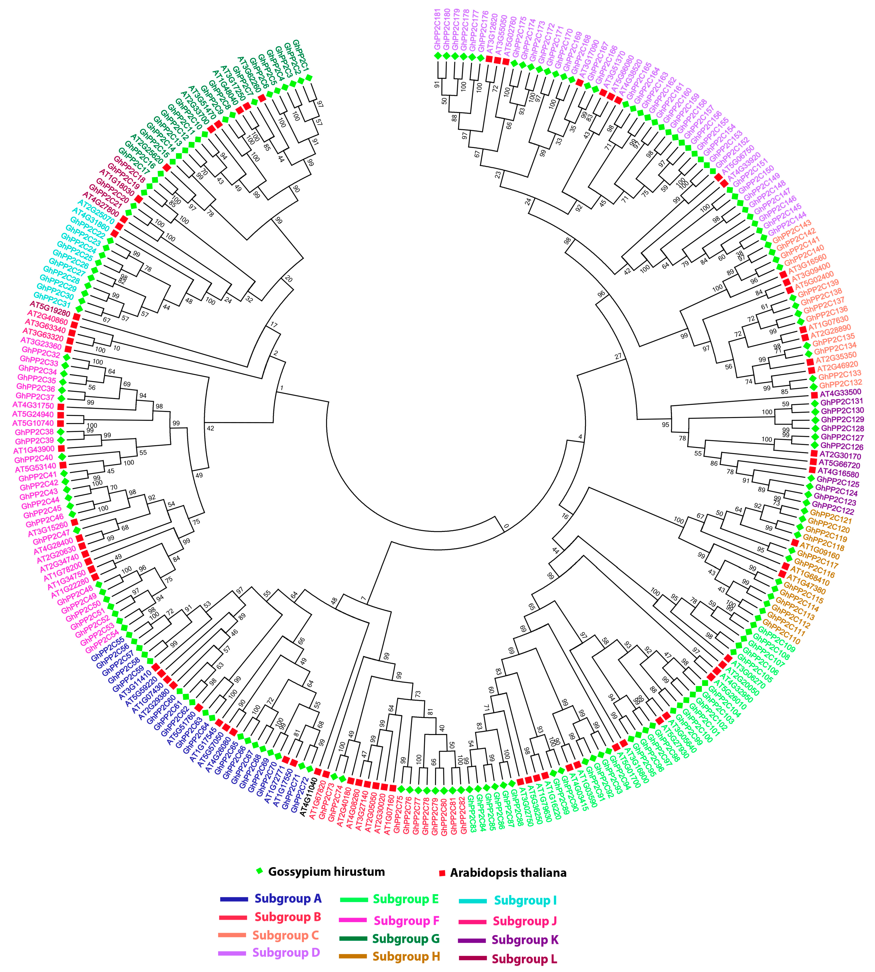 Ijms 20 01395 g001 Ijms 20 01395 g001