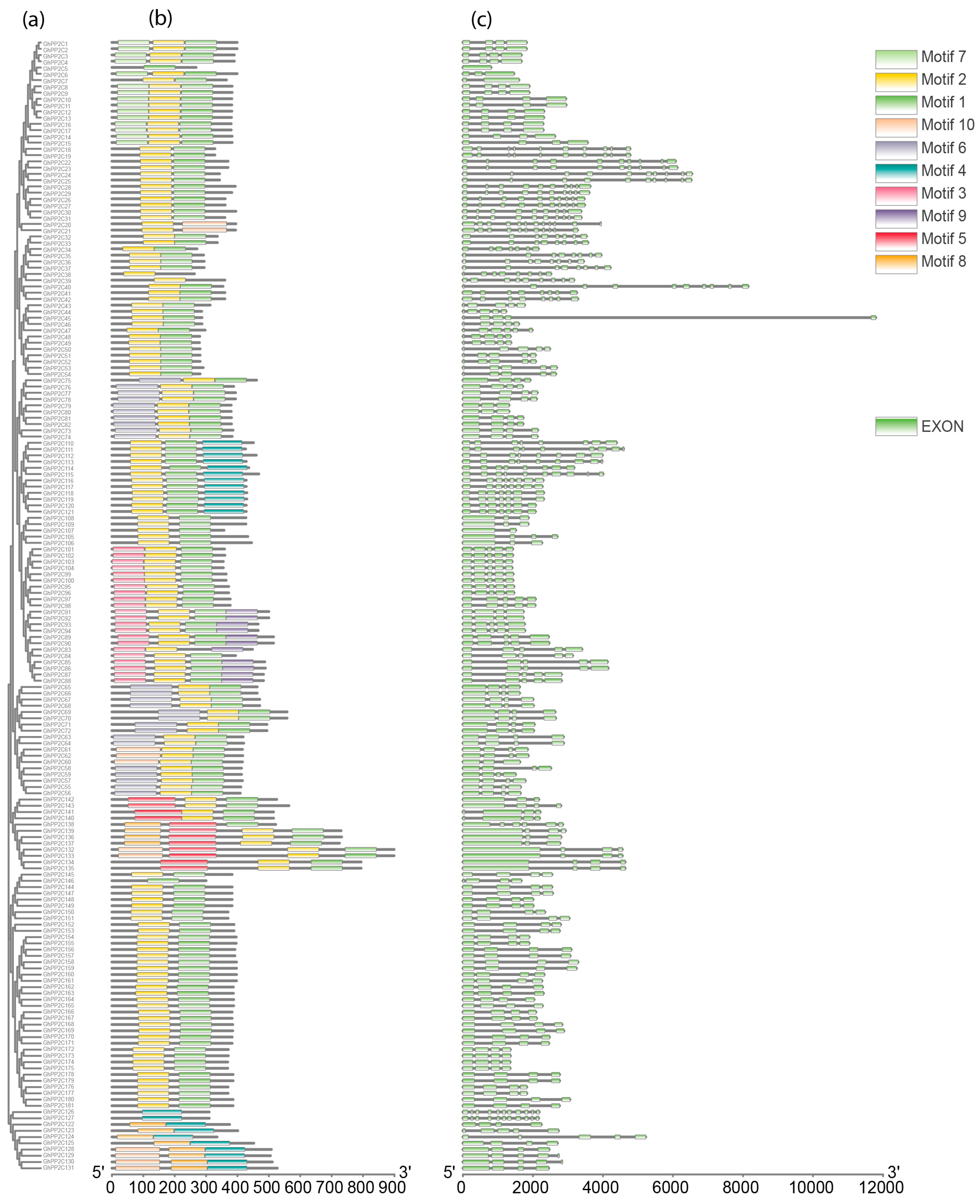Ijms 20 01395 g002 Ijms 20 01395 g002