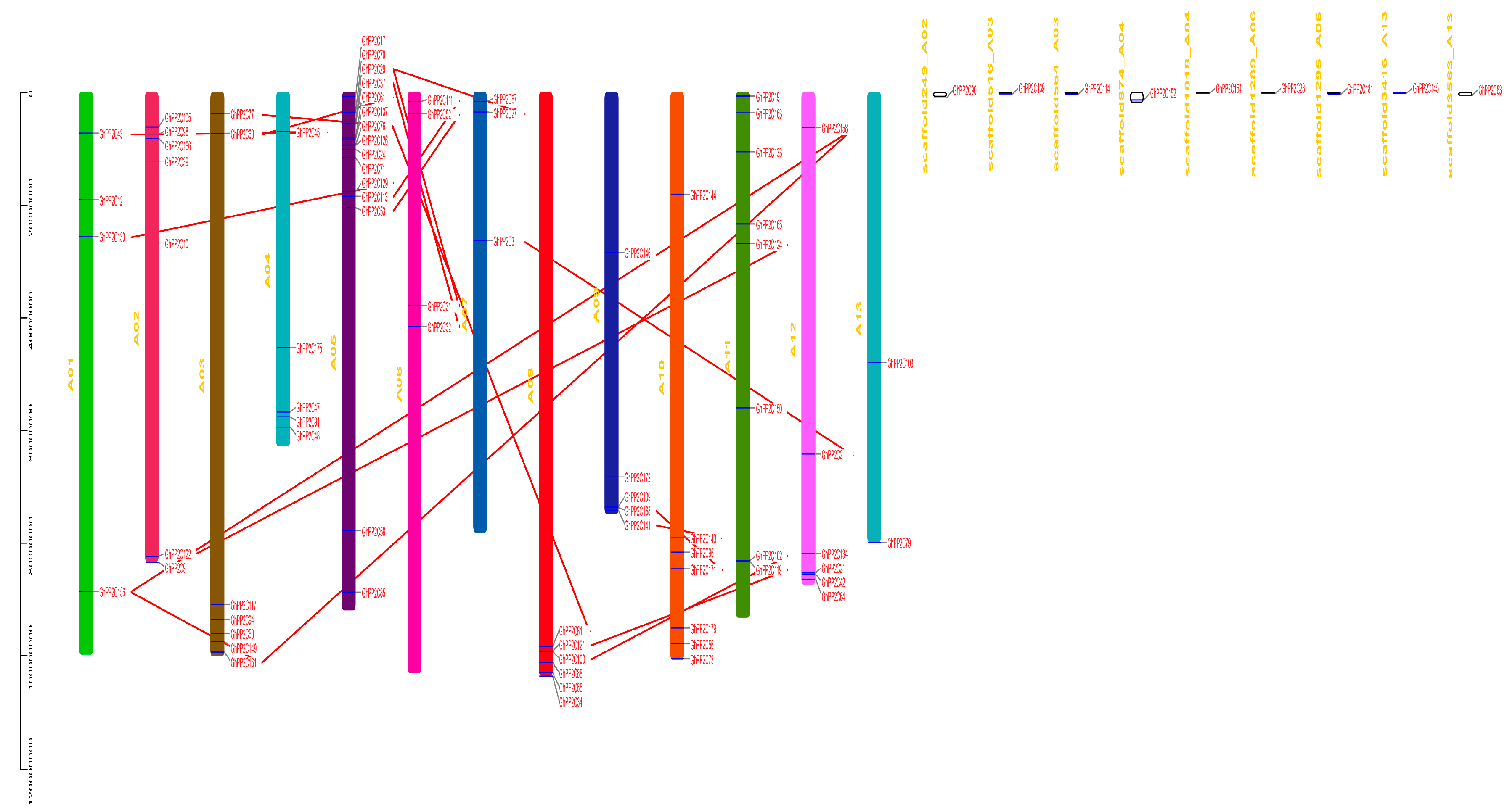 Ijms 20 01395 g004 Ijms 20 01395 g004