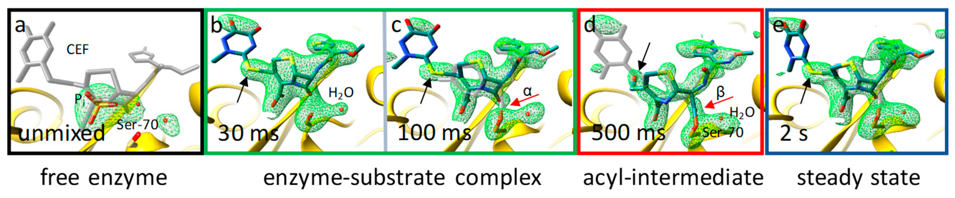 Ijms 20 01401 g006 Ijms 20 01401 g006