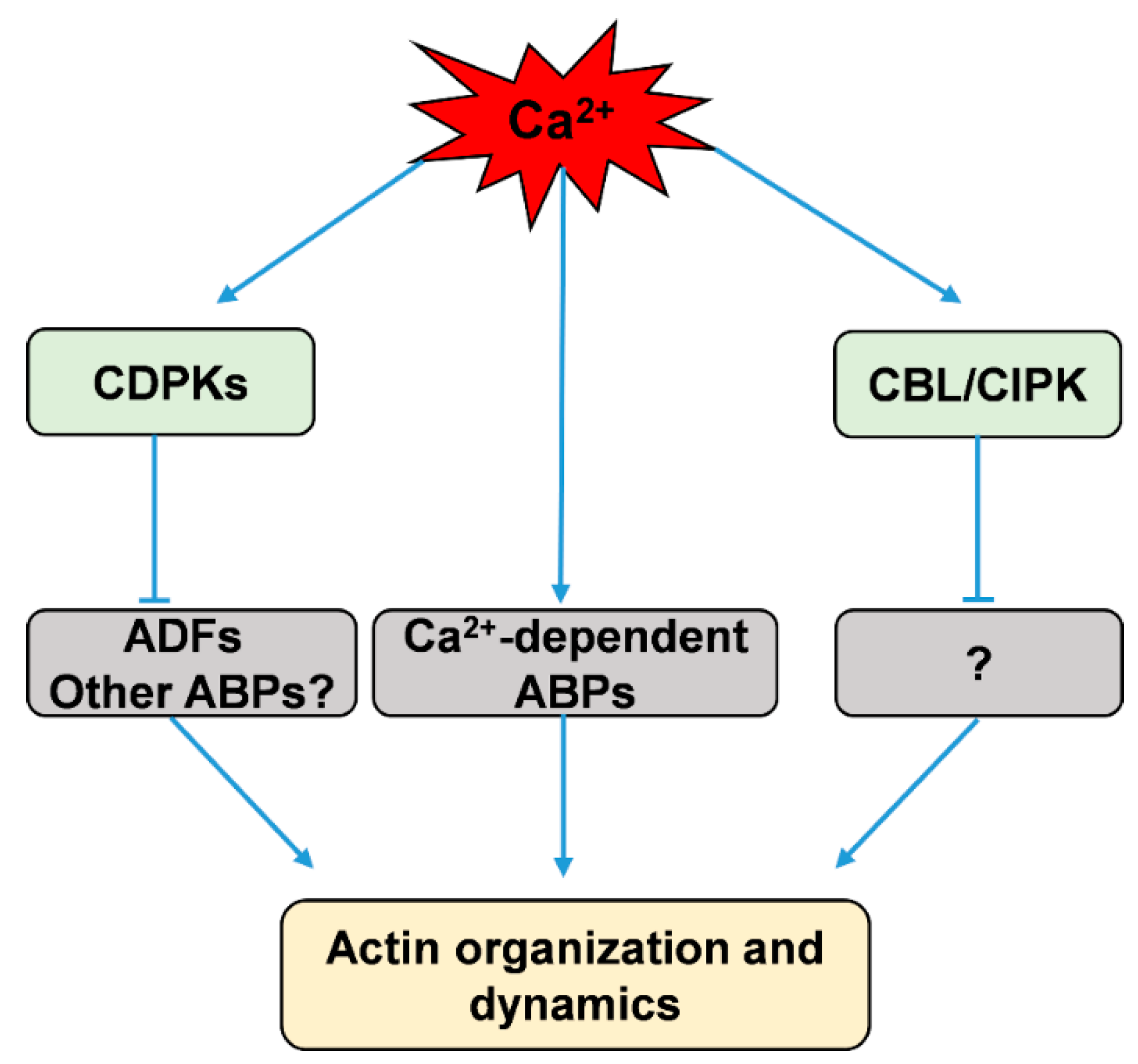 Ijms 20 01403 g001 Ijms 20 01403 g001