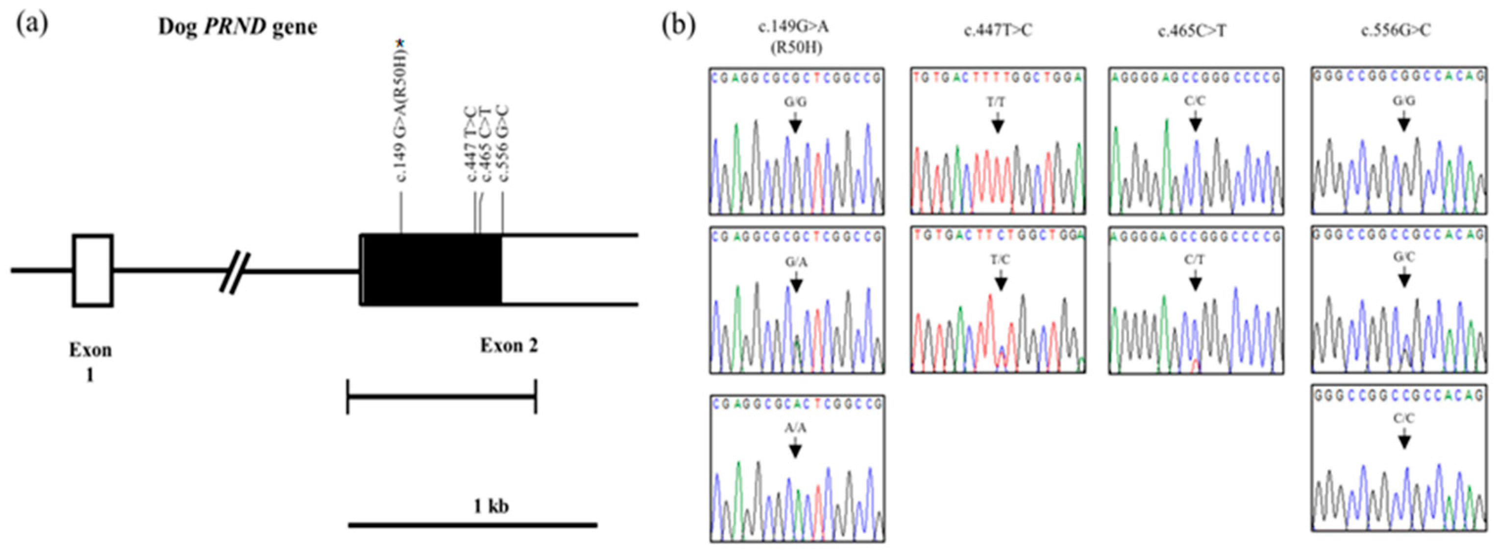 Ijms 20 01404 g001 Ijms 20 01404 g001