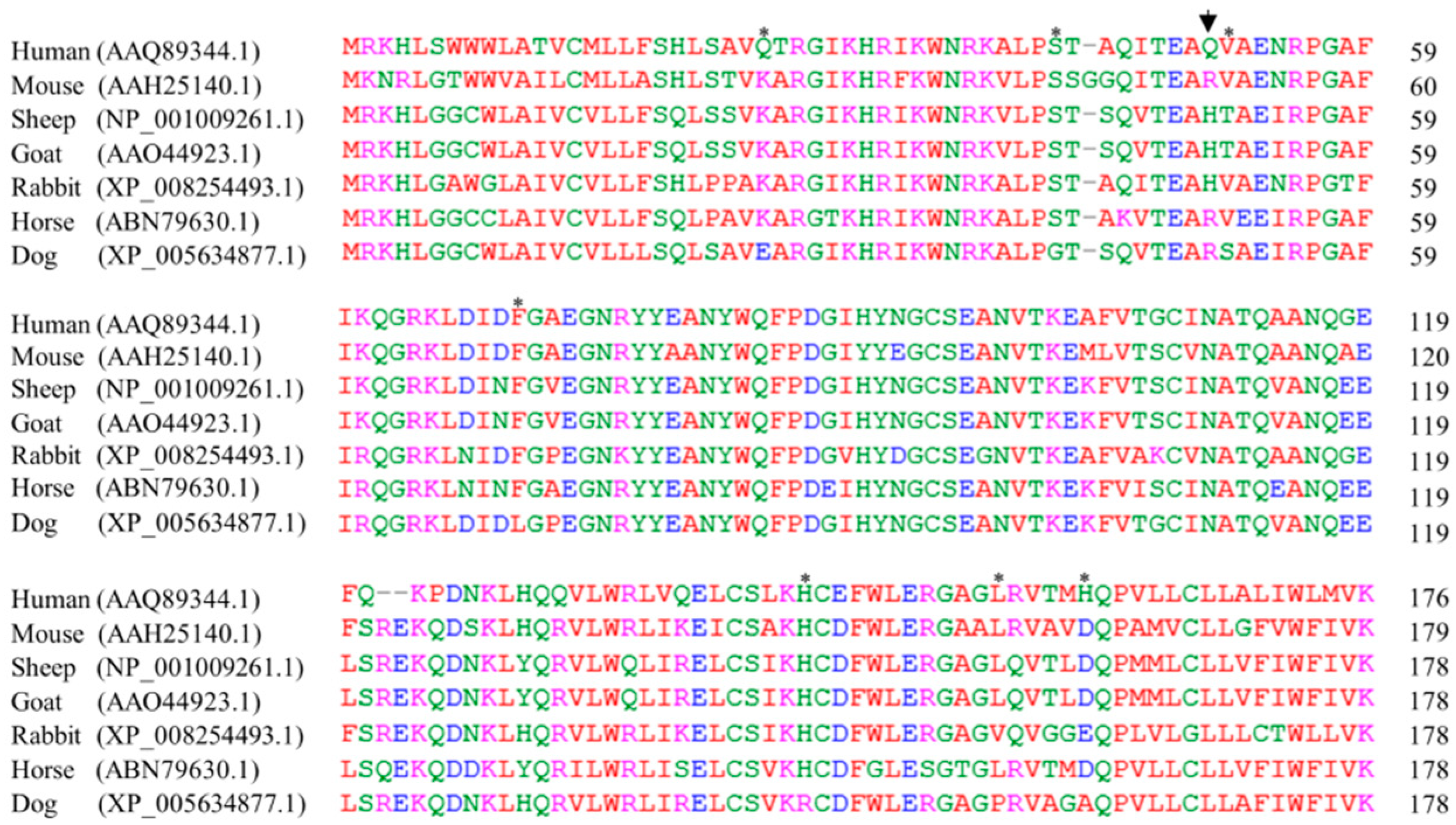 Ijms 20 01404 g004 Ijms 20 01404 g004