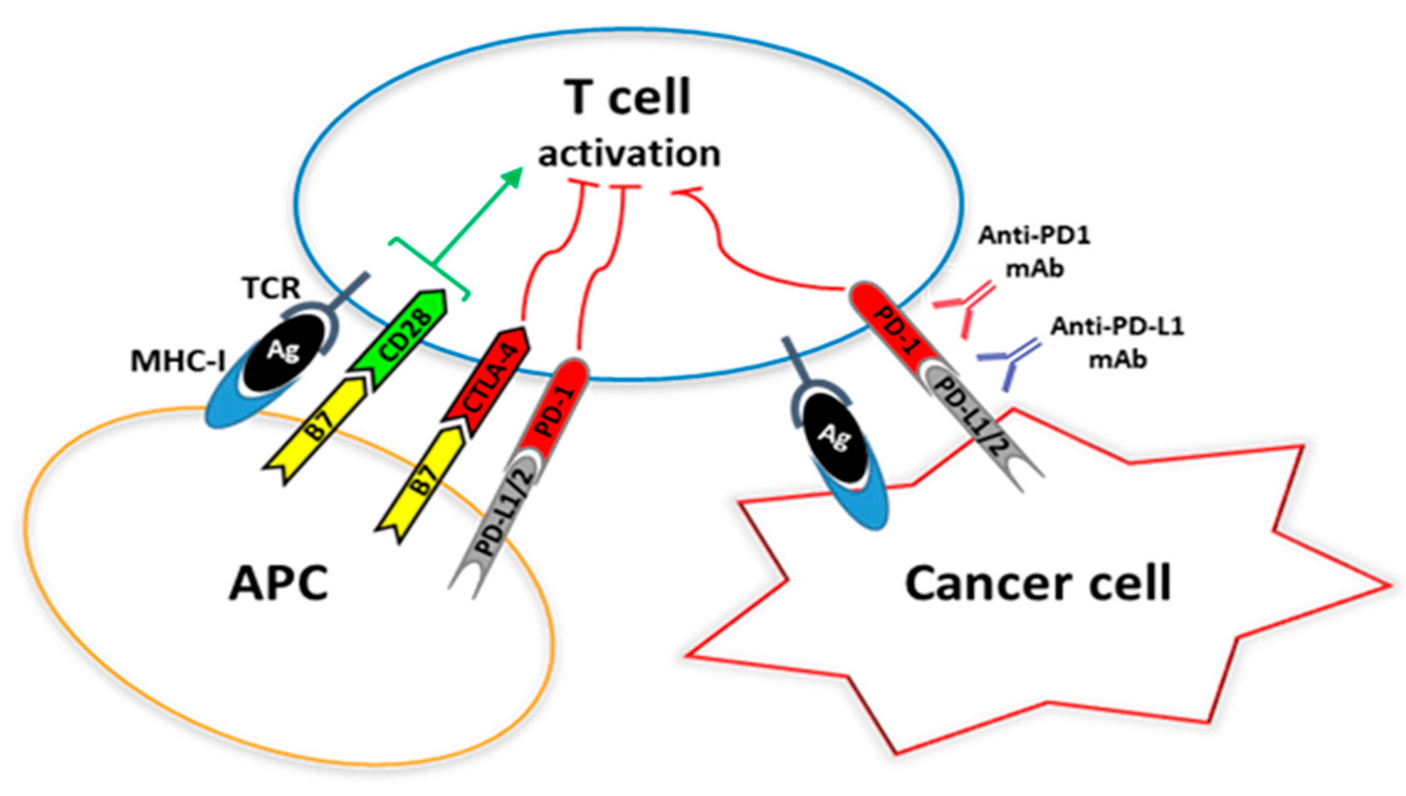 Ijms 20 01405 g001 Ijms 20 01405 g001