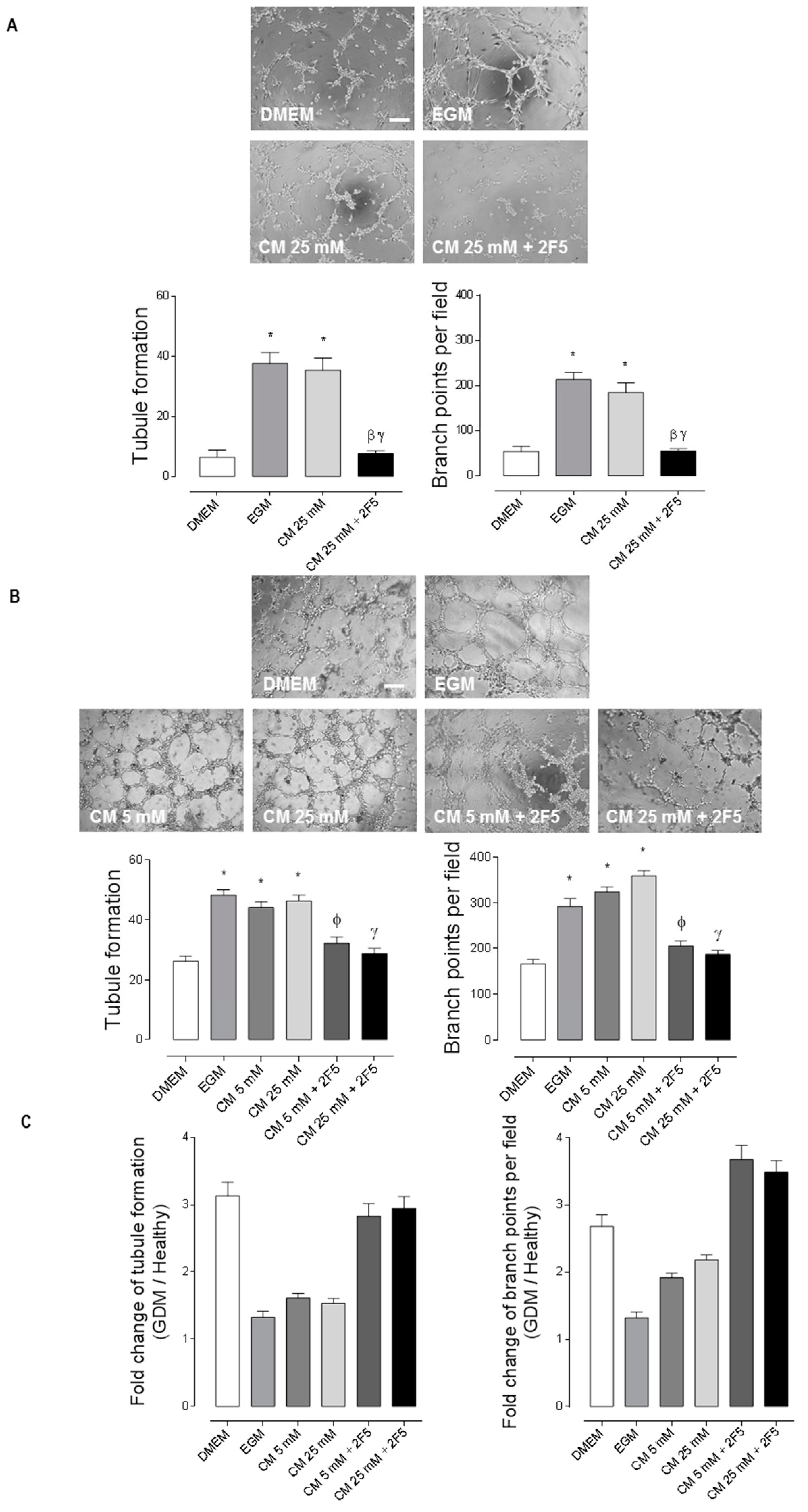 Ijms 20 01408 g002 Ijms 20 01408 g002