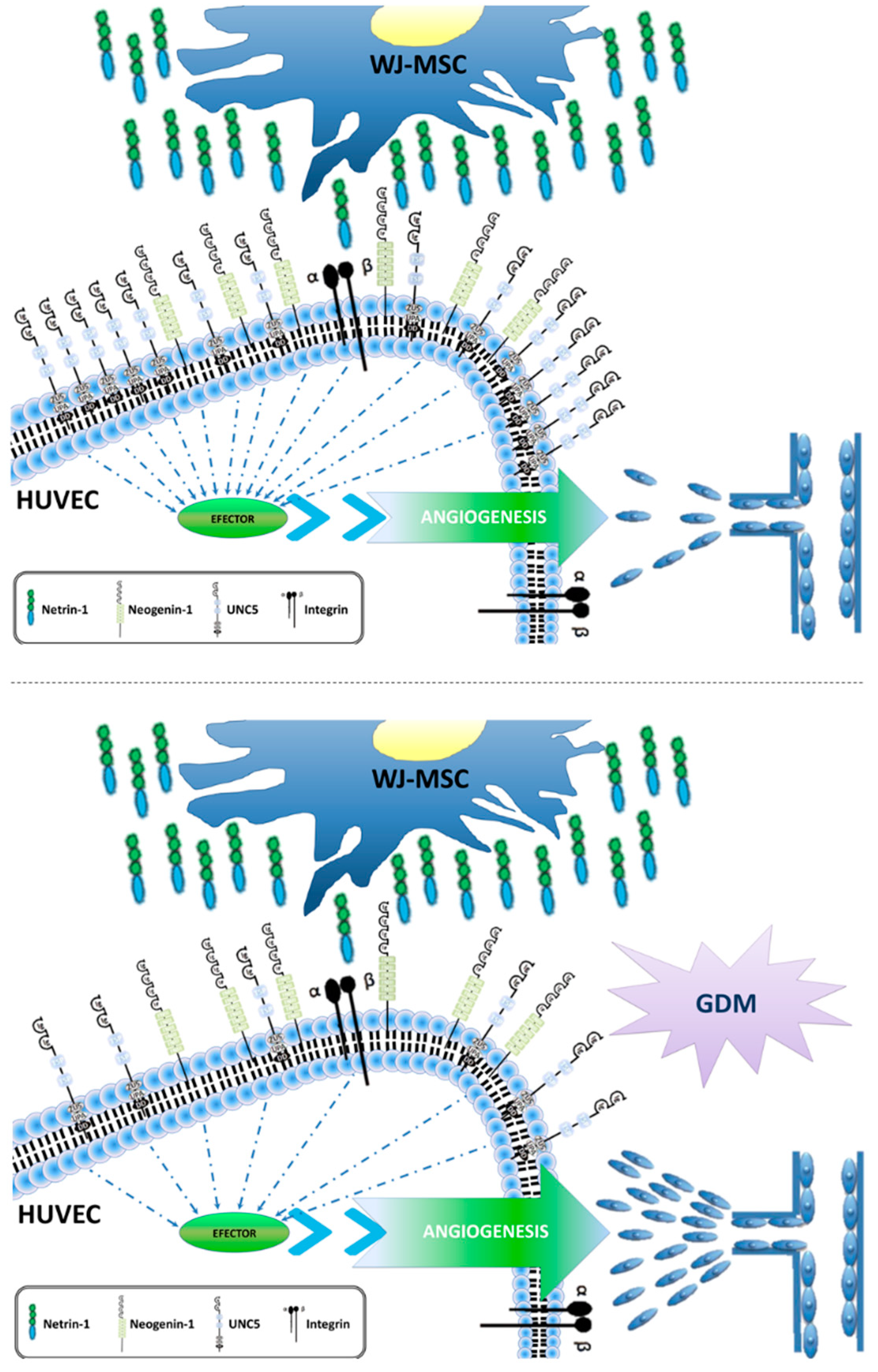 Ijms 20 01408 g005 Ijms 20 01408 g005