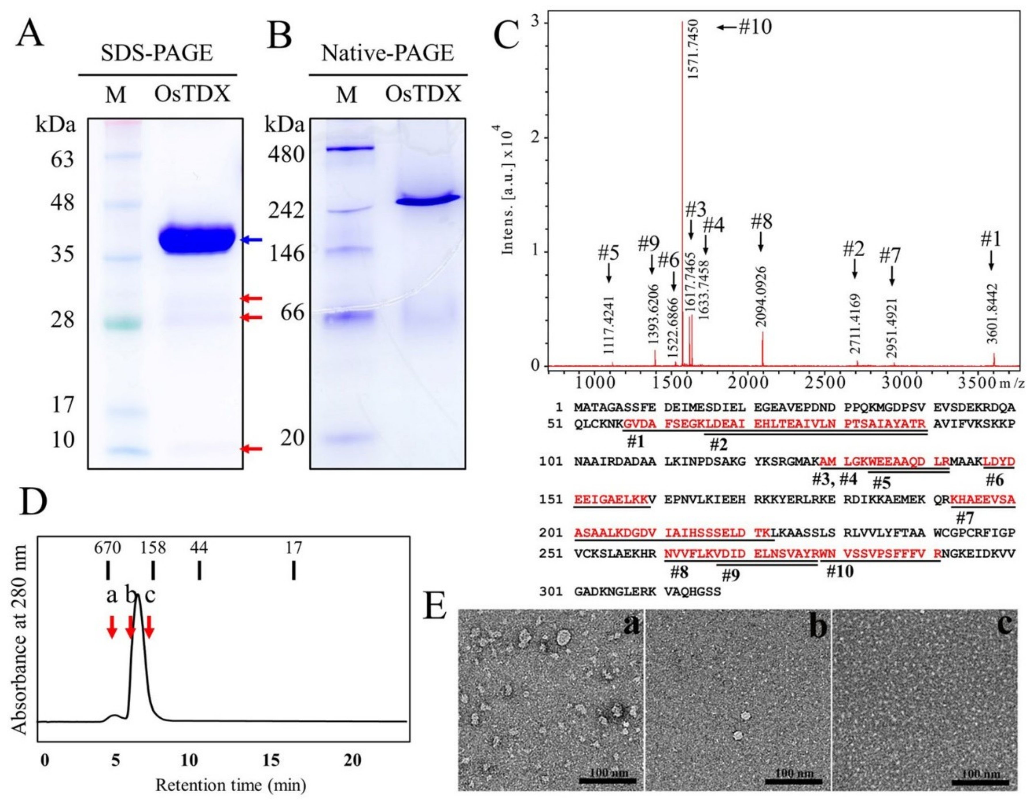 Ijms 20 01413 g002 550