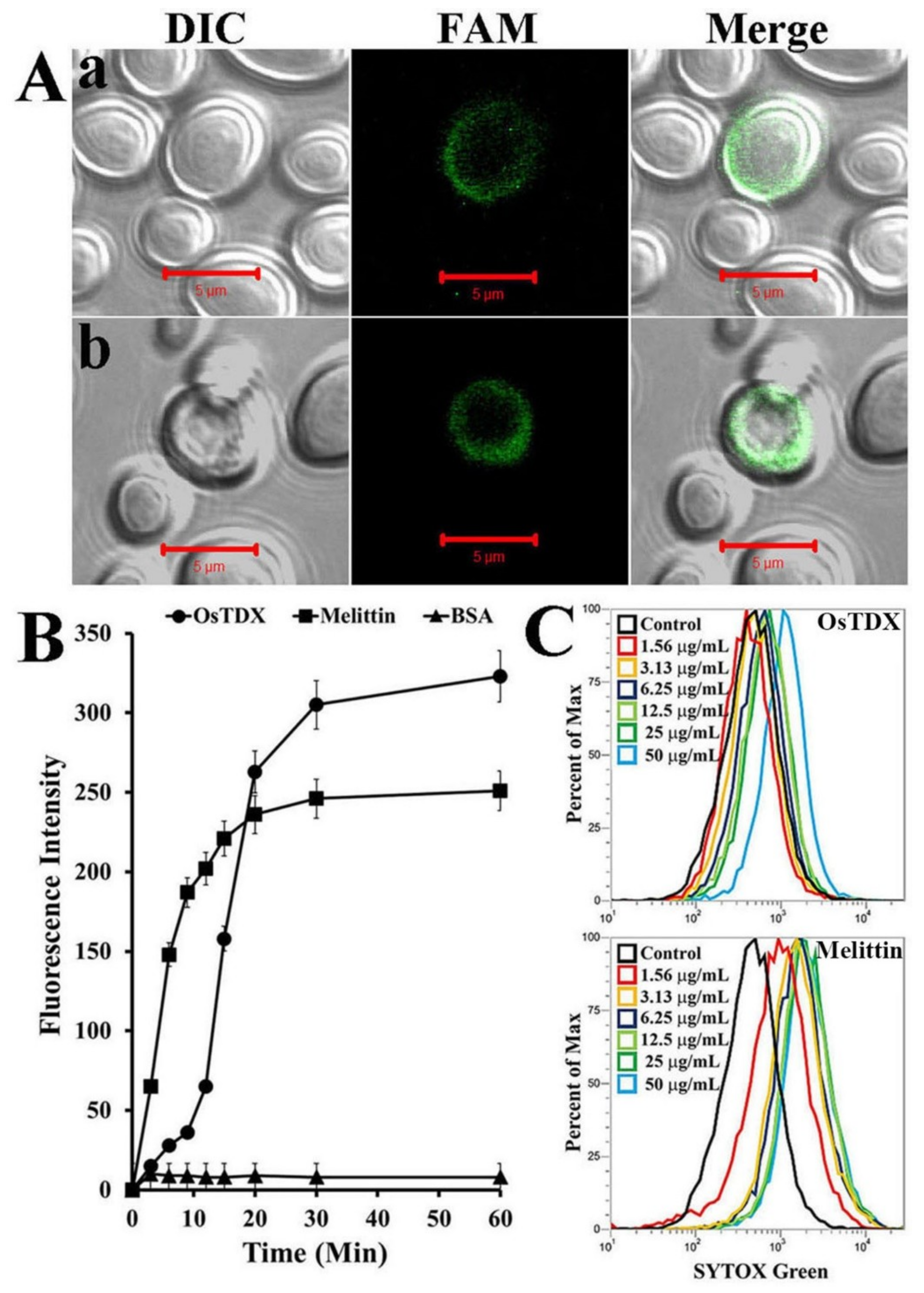 Ijms 20 01413 g004 550