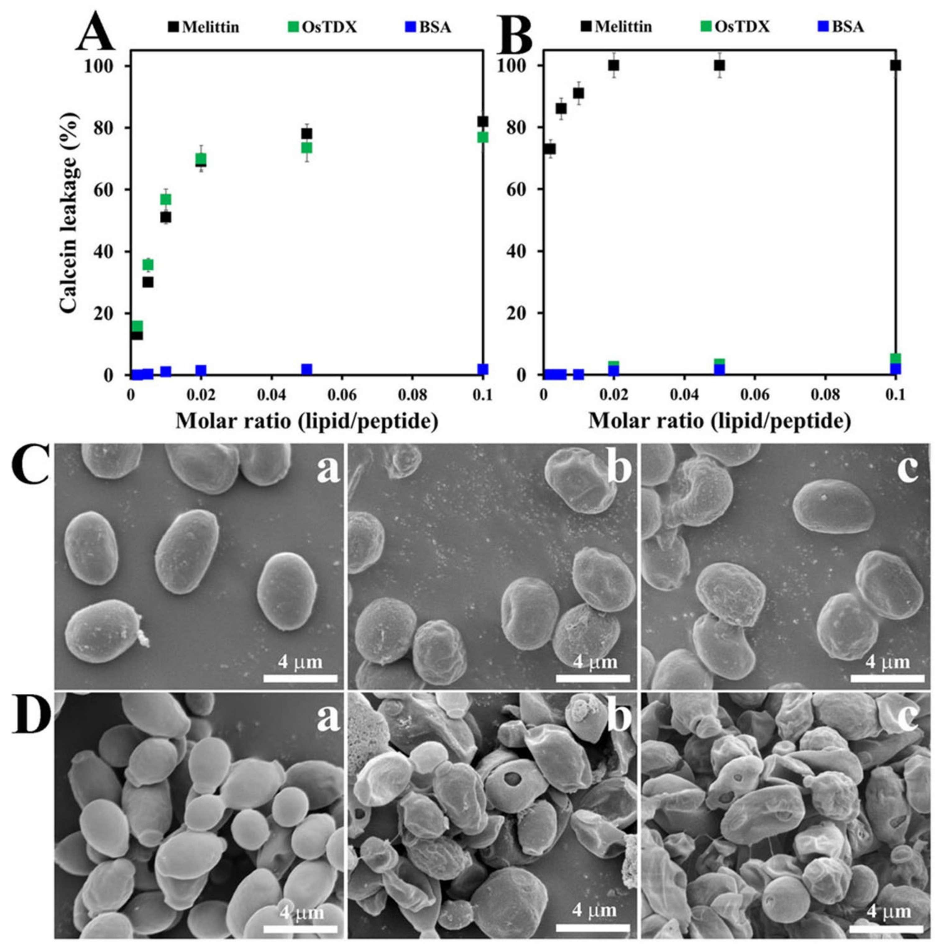 Ijms 20 01413 g005 550