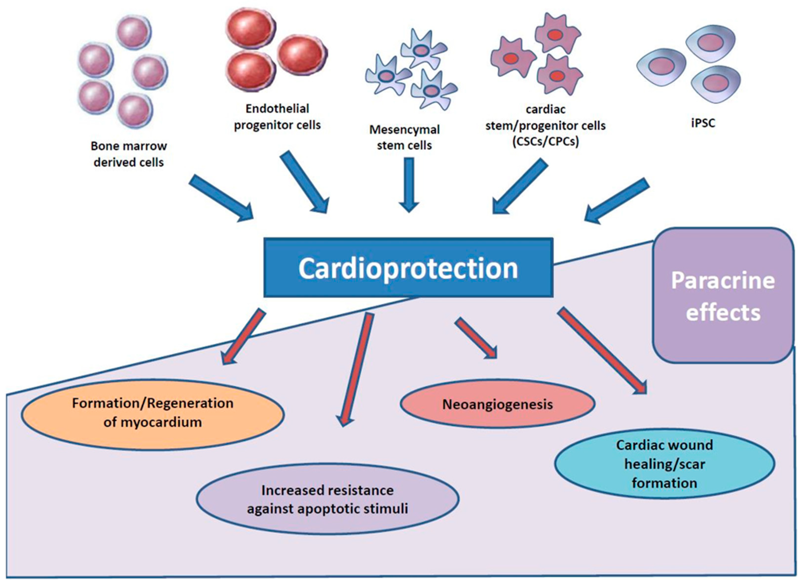 Ijms 20 01420 g001 Ijms 20 01420 g001