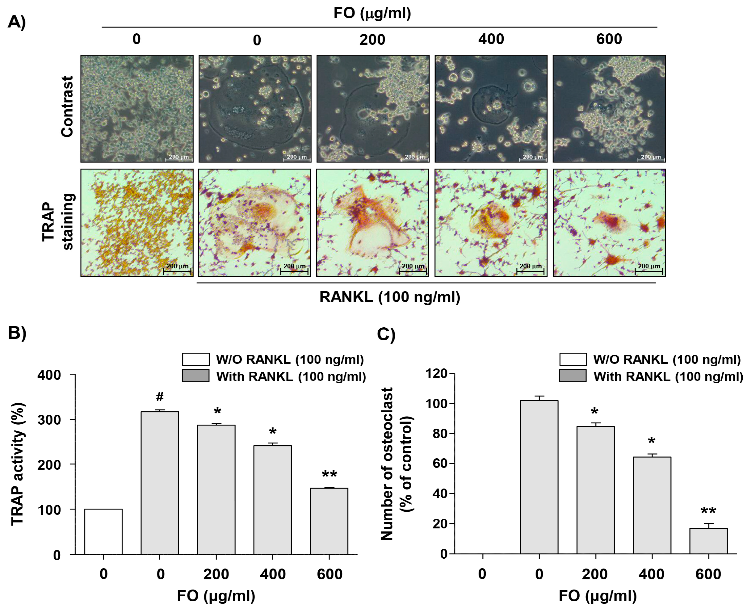 Ijms 20 01439 g002 Ijms 20 01439 g002