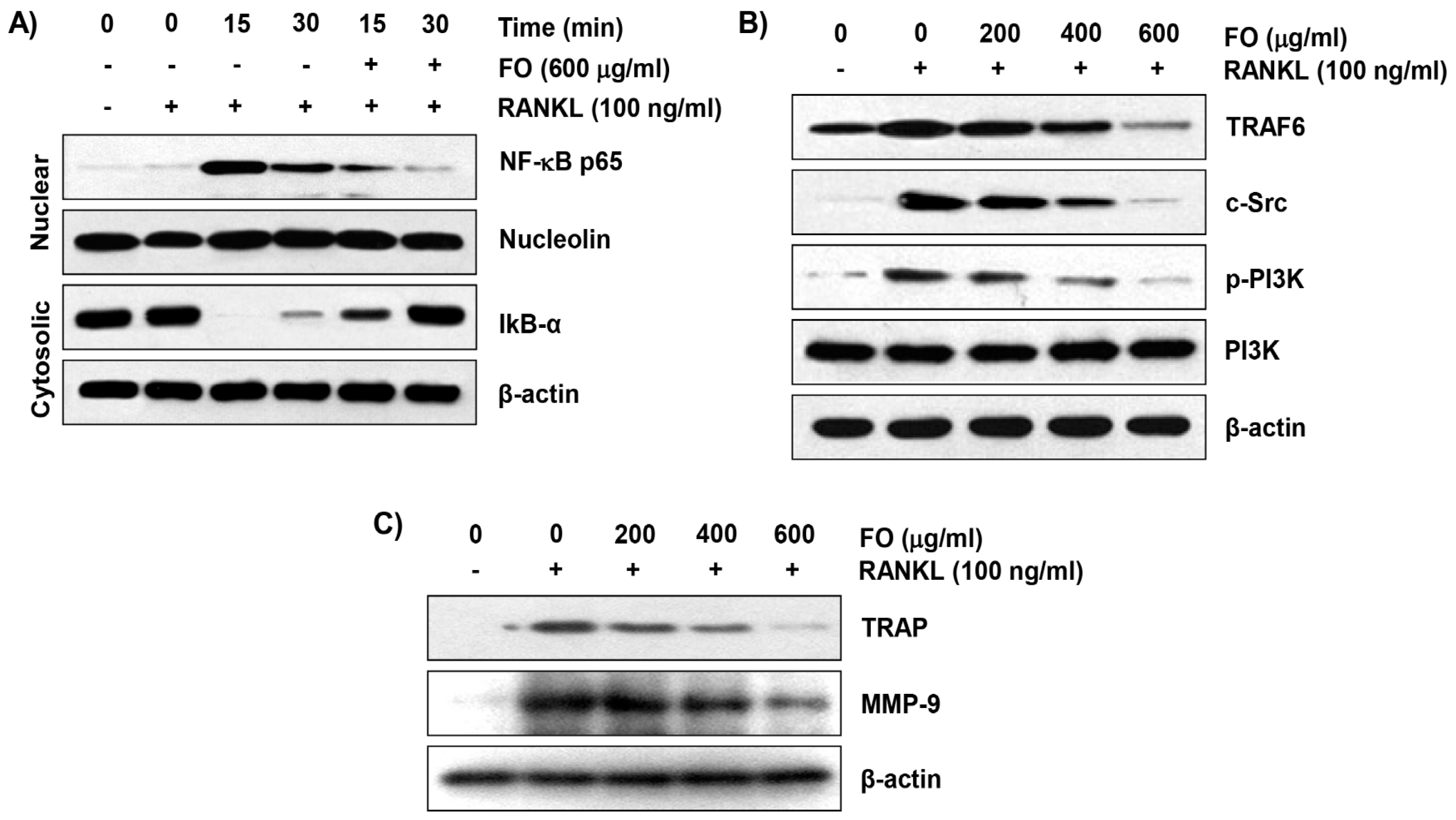 Ijms 20 01439 g005 Ijms 20 01439 g005