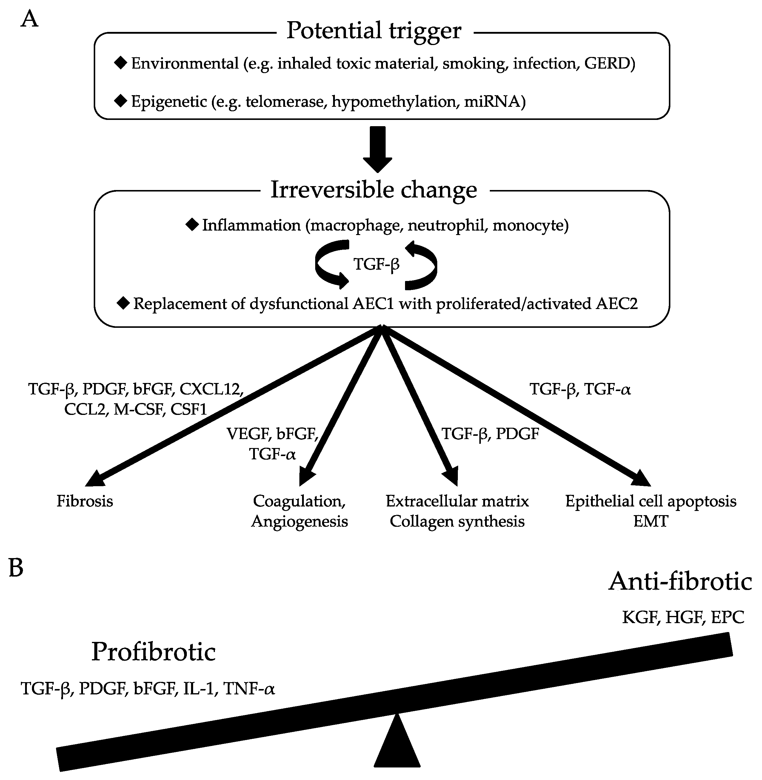 Molecular Mechanisms of Pulmonary Fibrogenesis and Its