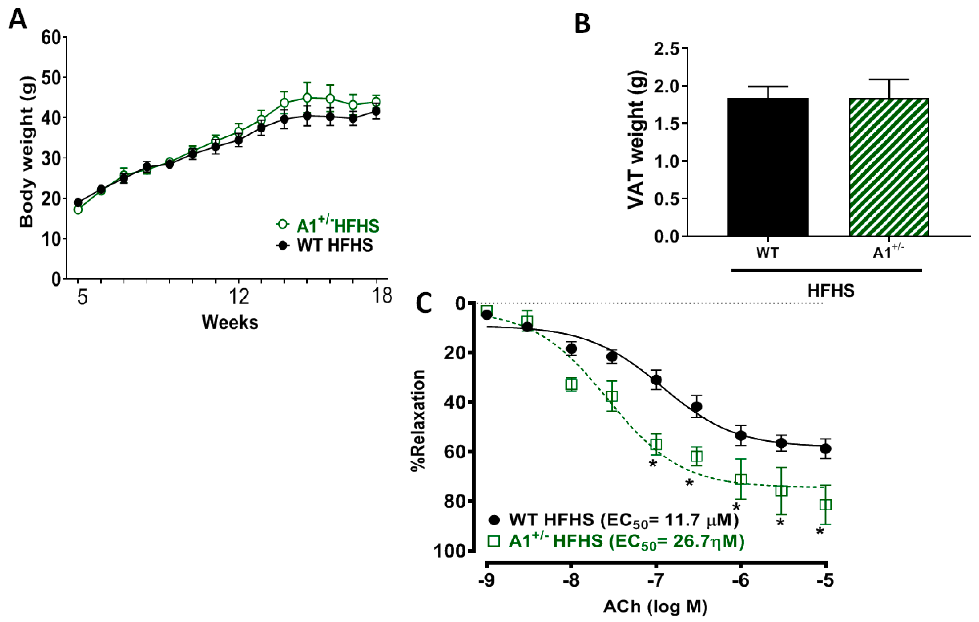 Ijms 20 01462 g008 Ijms 20 01462 g008