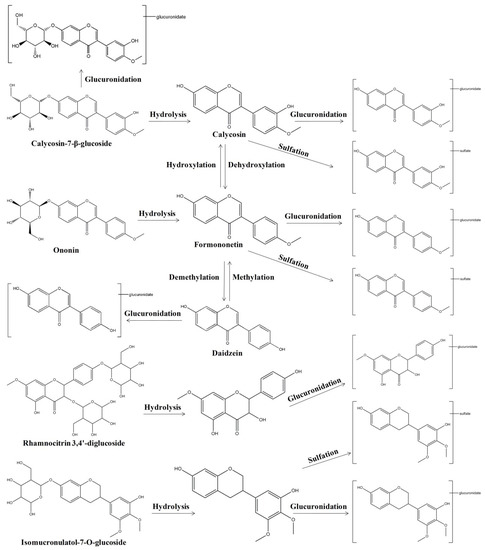 A Systematic Review of Phytochemistry, Pharmacology and