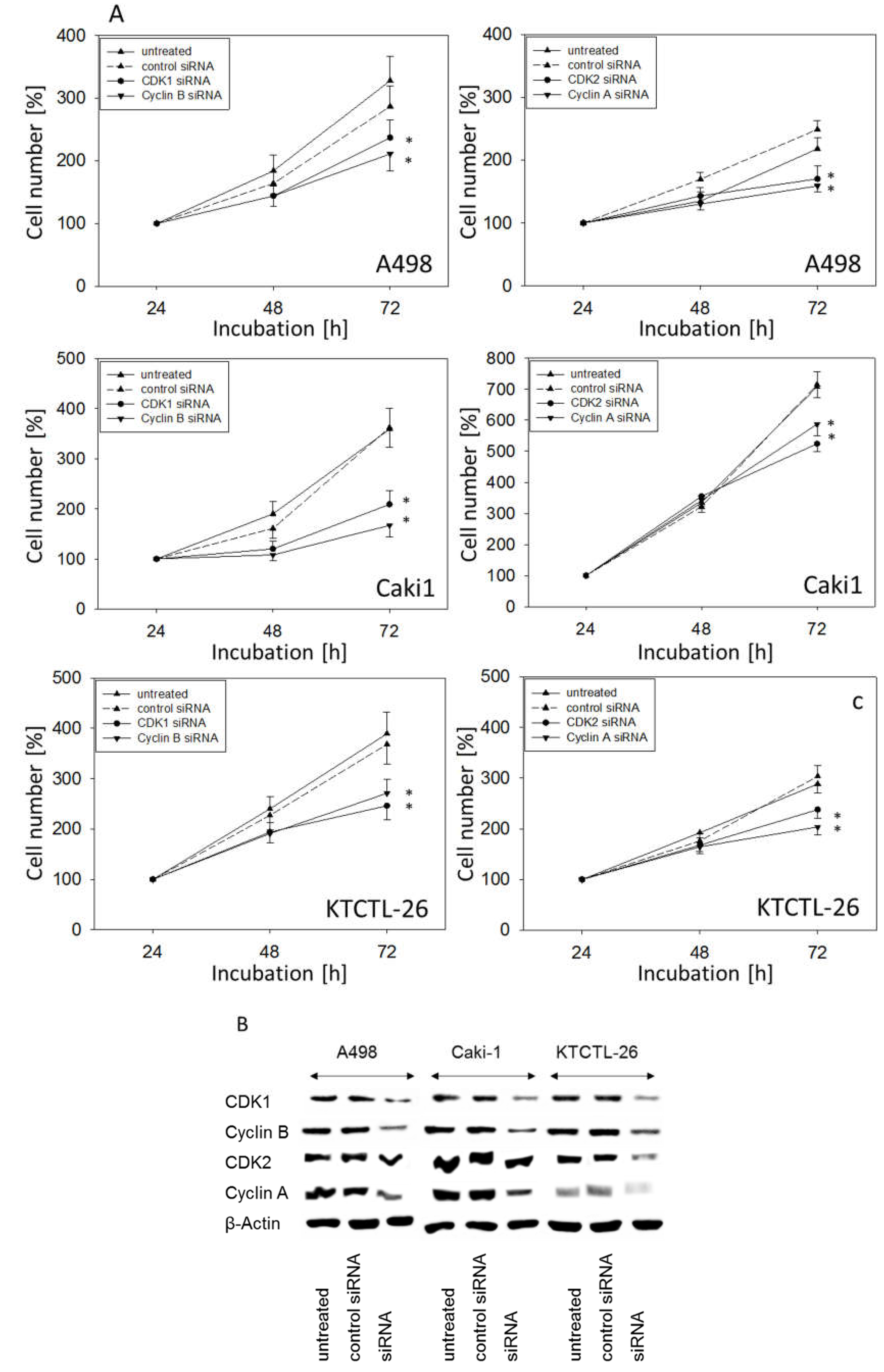 Ijms 20 01464 g008 550
