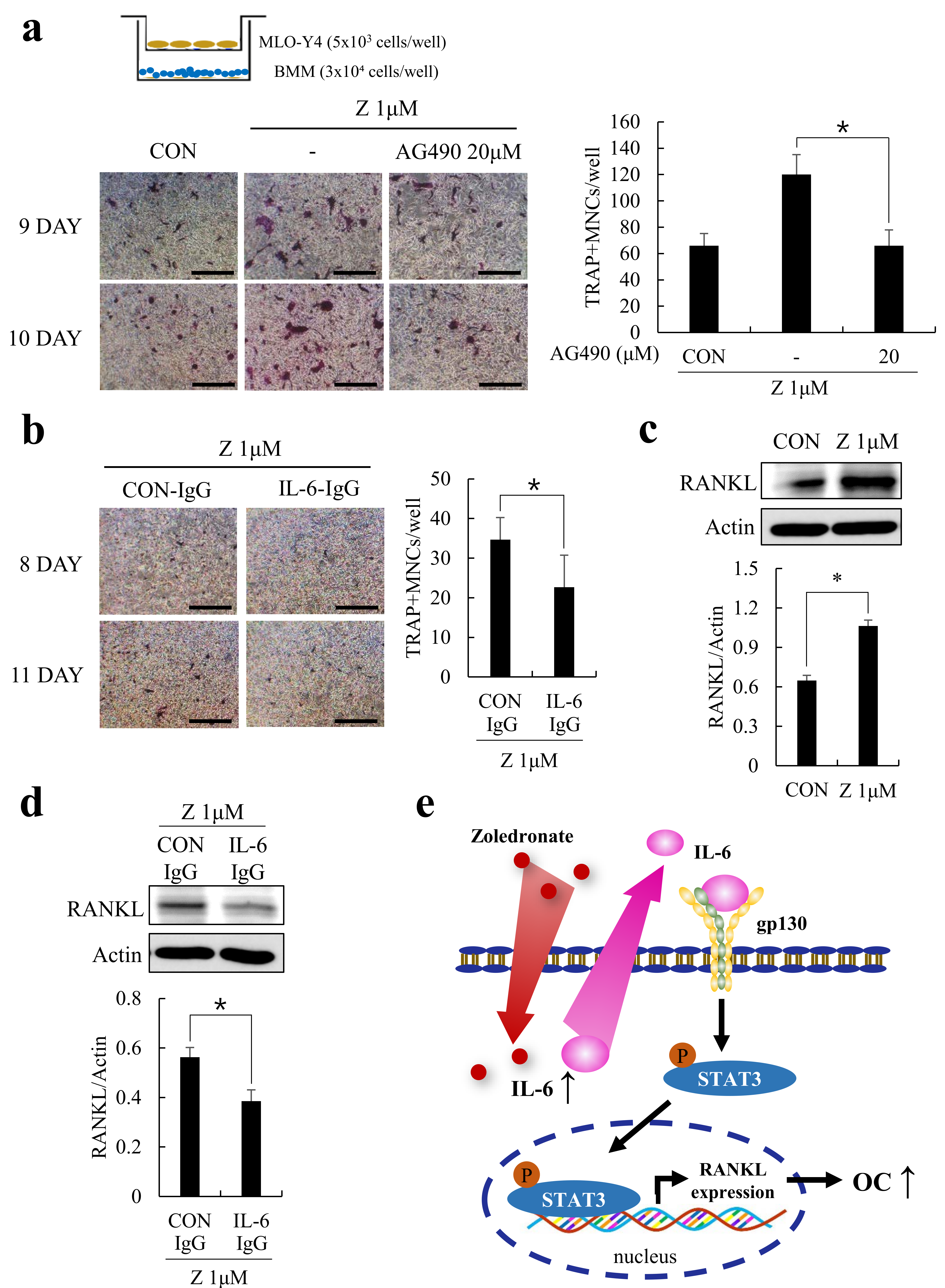 Ijms 20 01467 g005 550