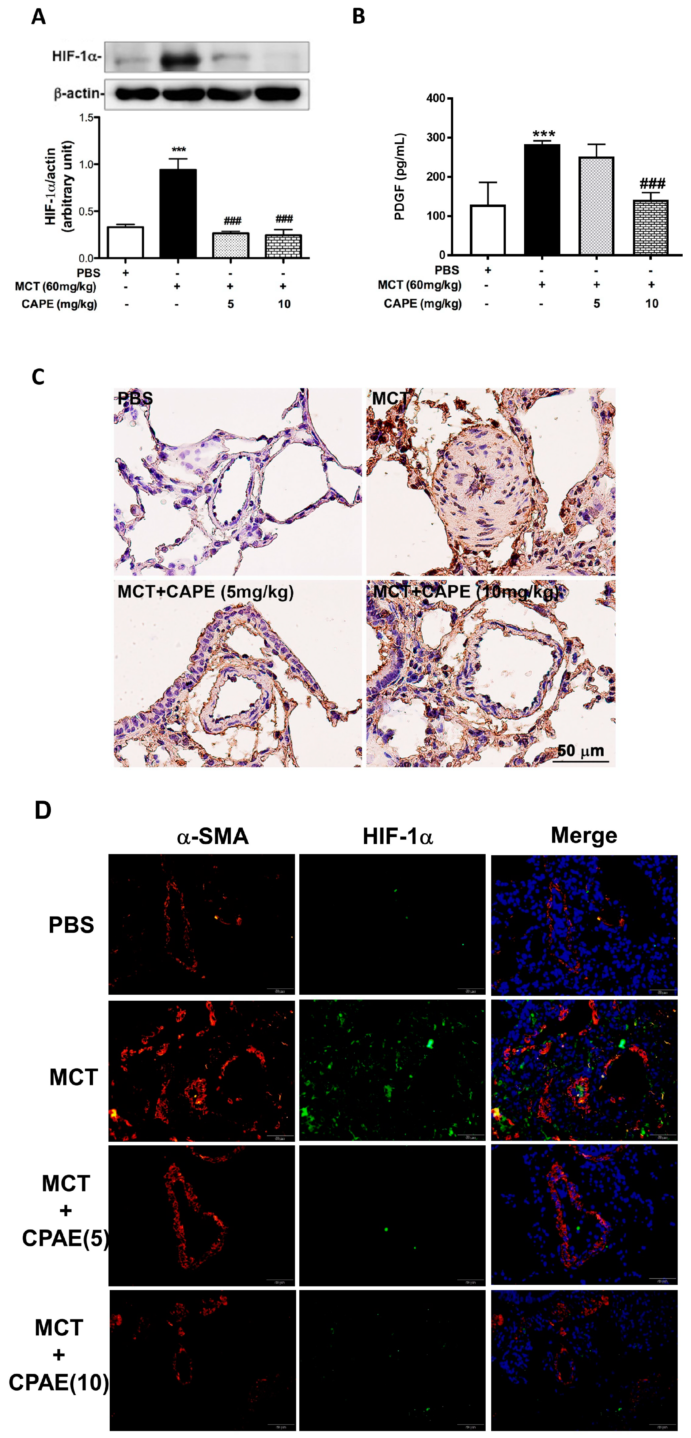 Ijms 20 01468 g003
