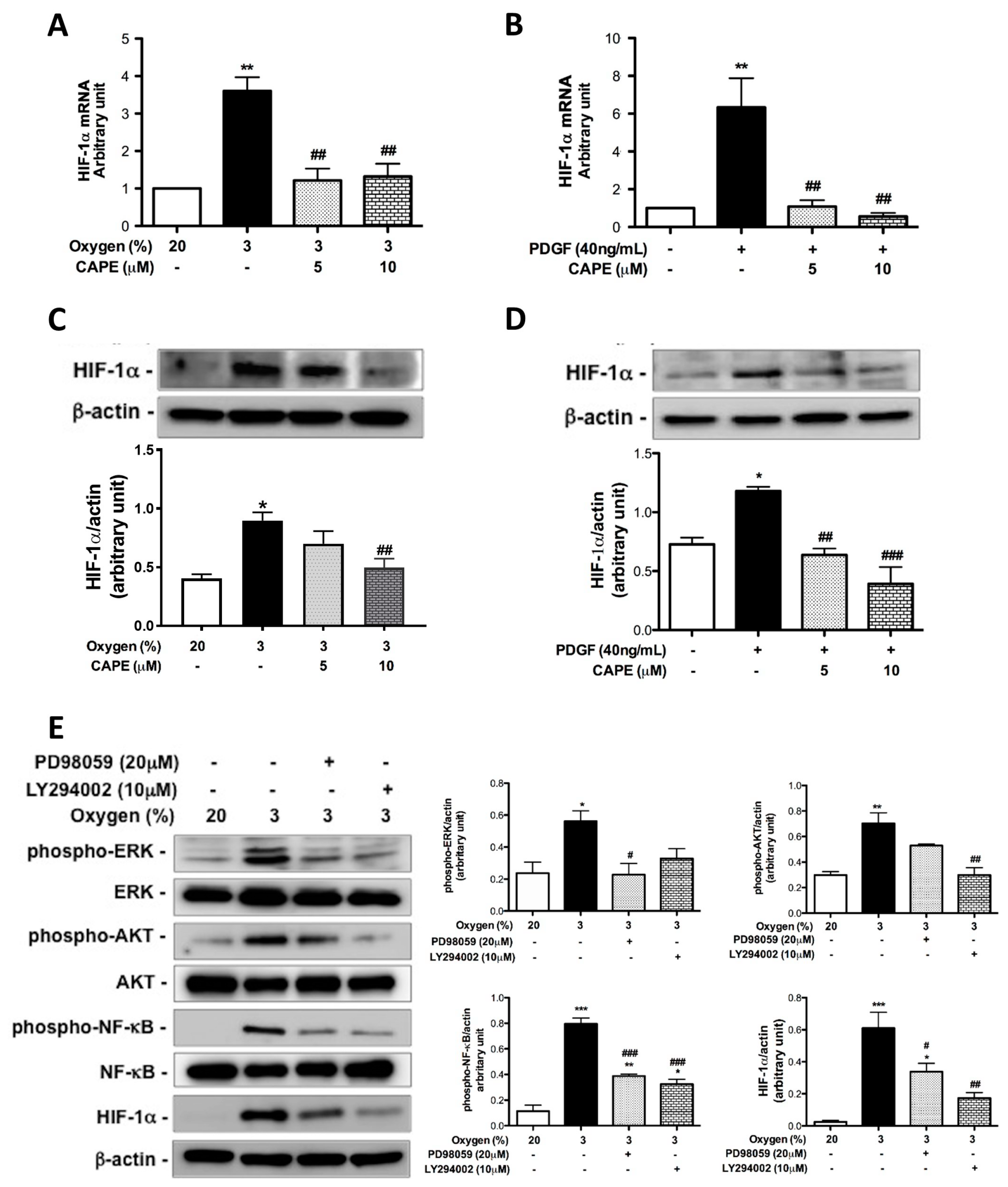 Ijms 20 01468 g004a