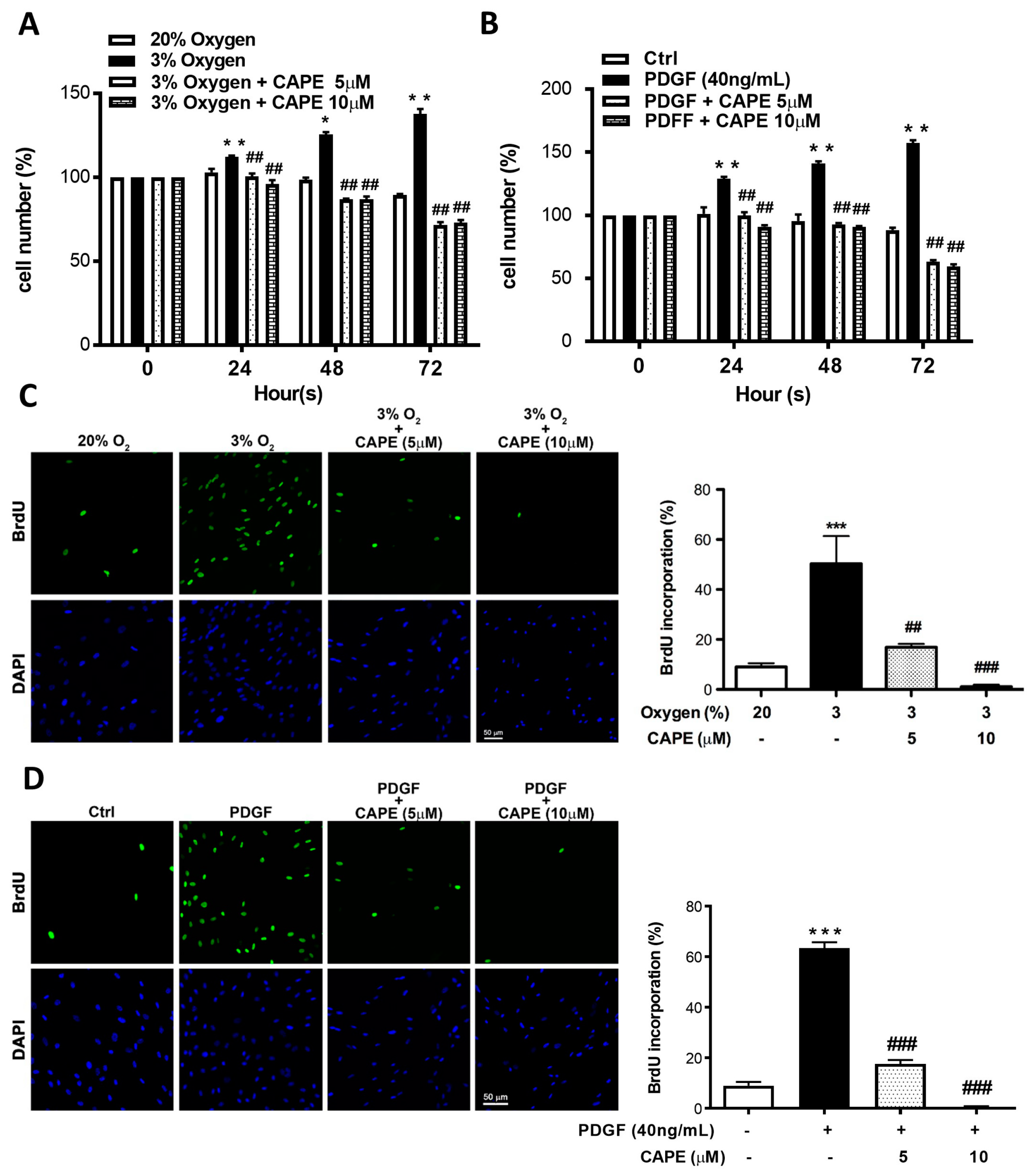Ijms 20 01468 g005a