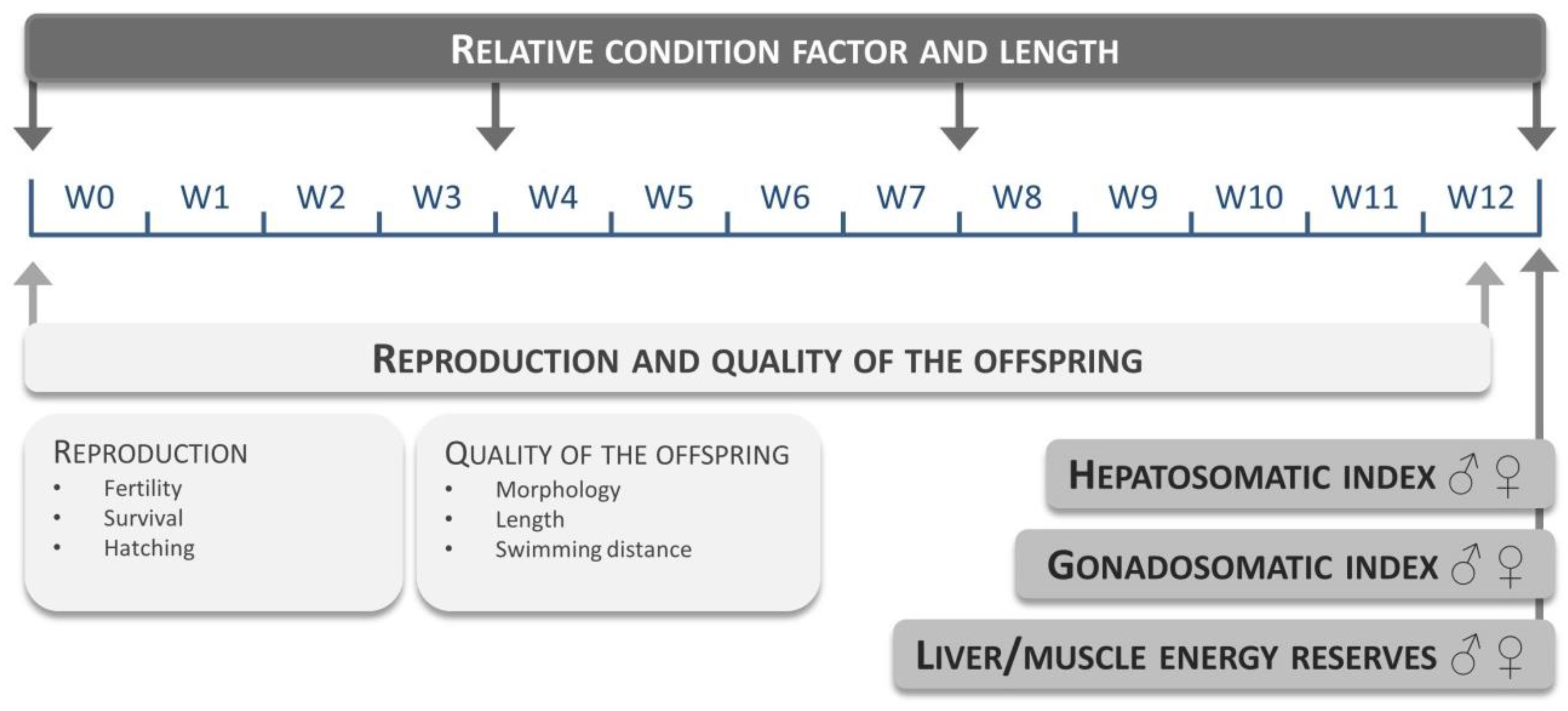 Hatching On A Constant Pressure Analysis Chart Indicates