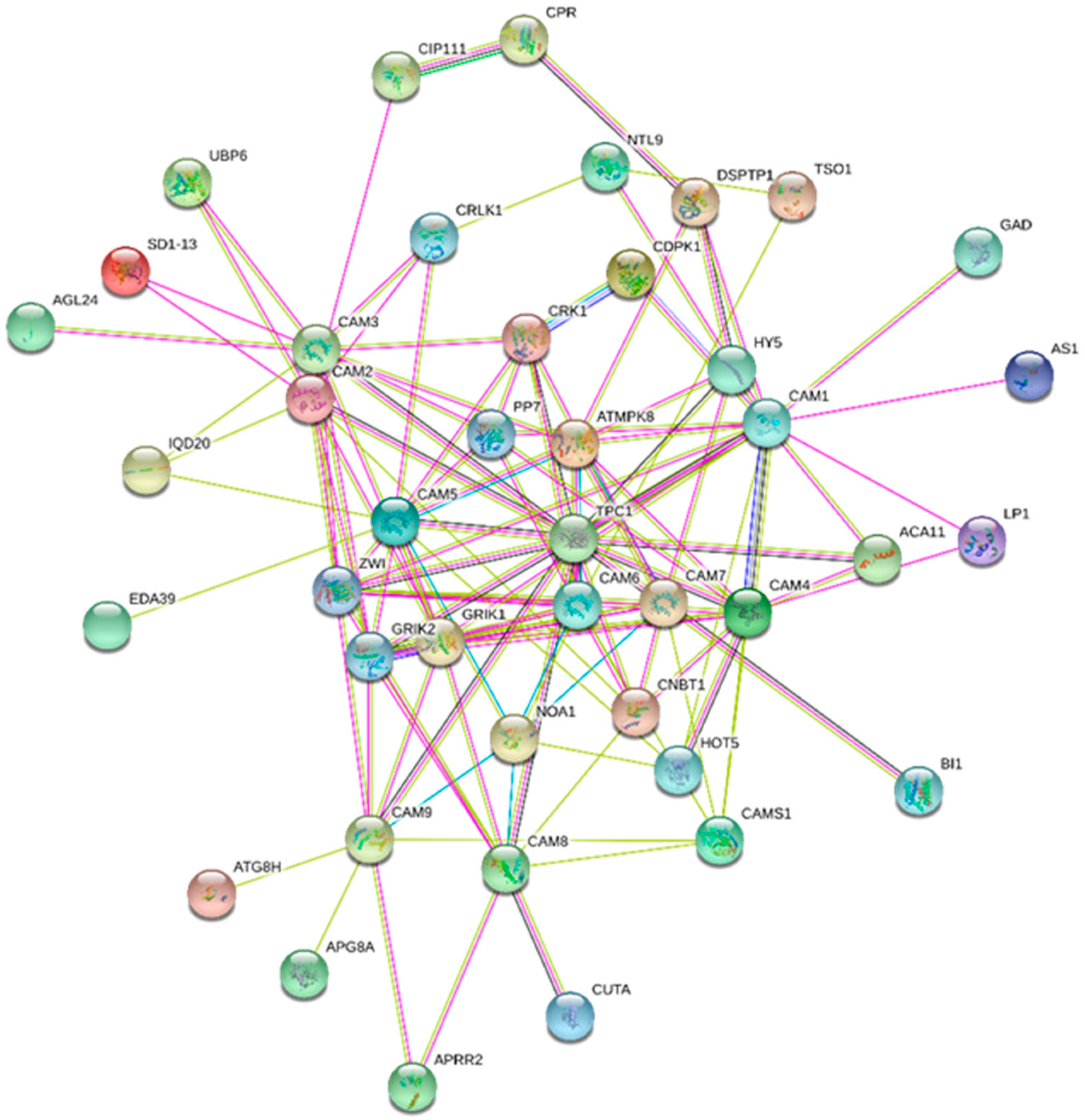 Ijms 20 01476 g005 Ijms 20 01476 g005