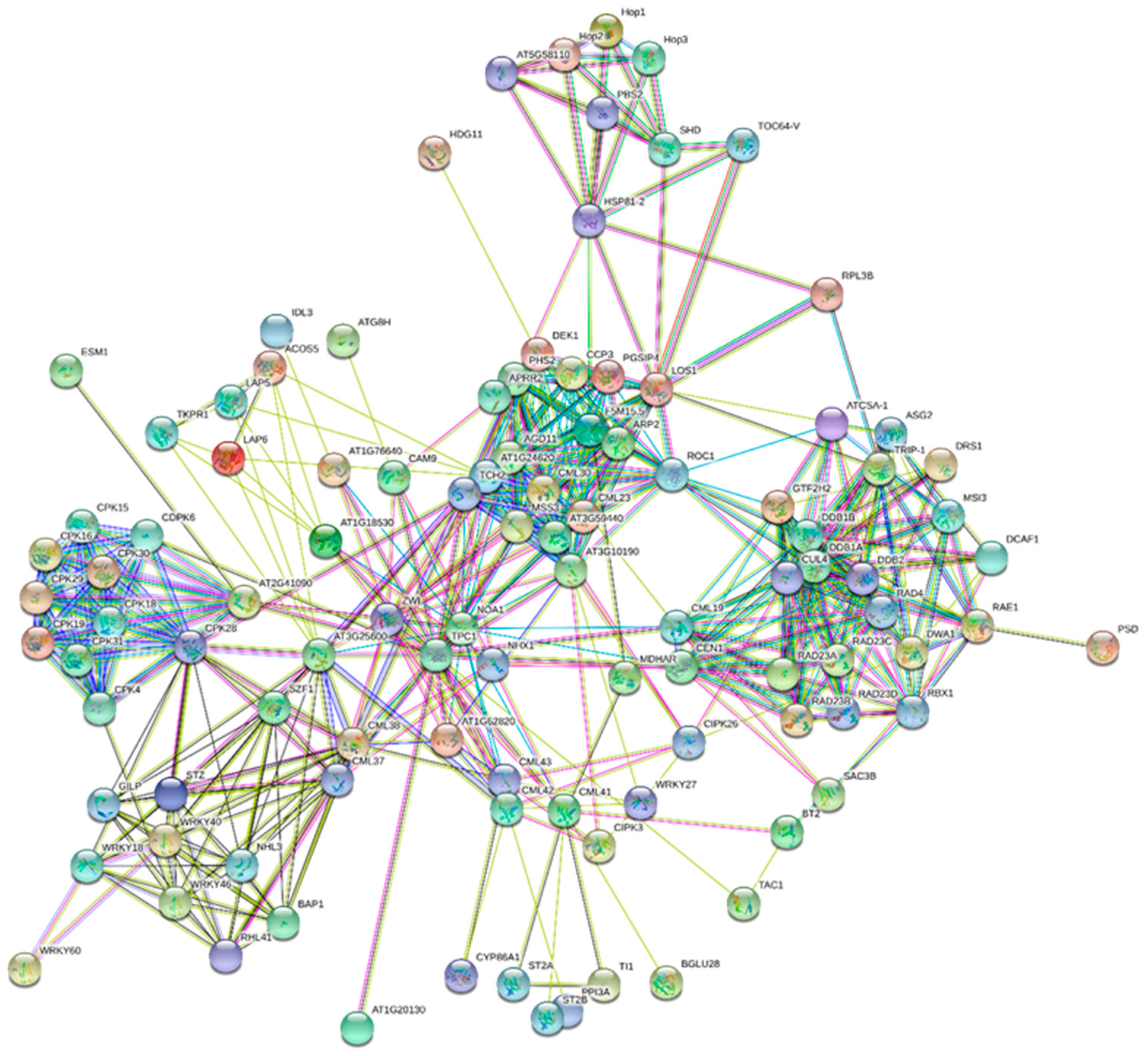 Ijms 20 01476 g006 Ijms 20 01476 g006