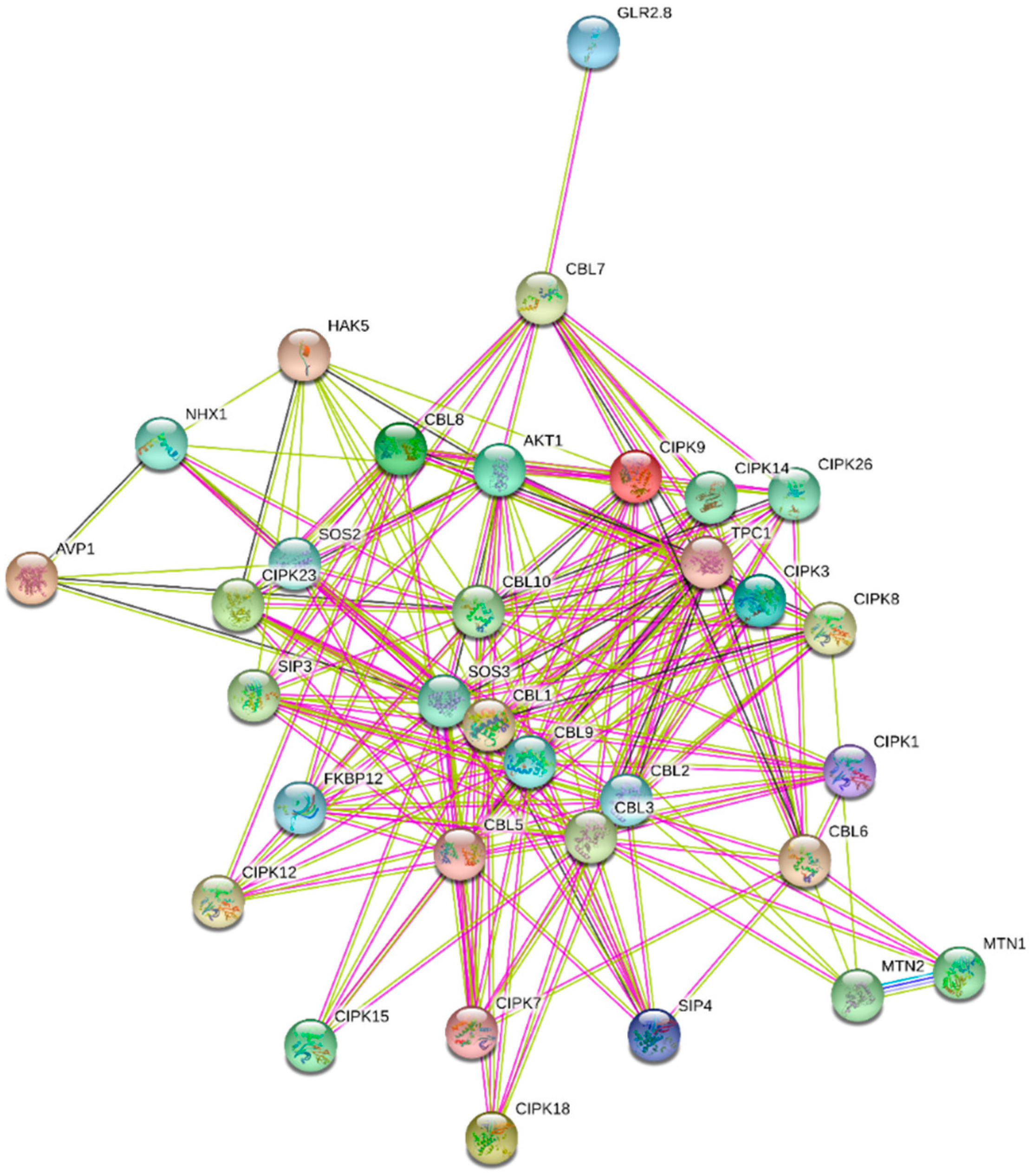 Ijms 20 01476 g007 Ijms 20 01476 g007