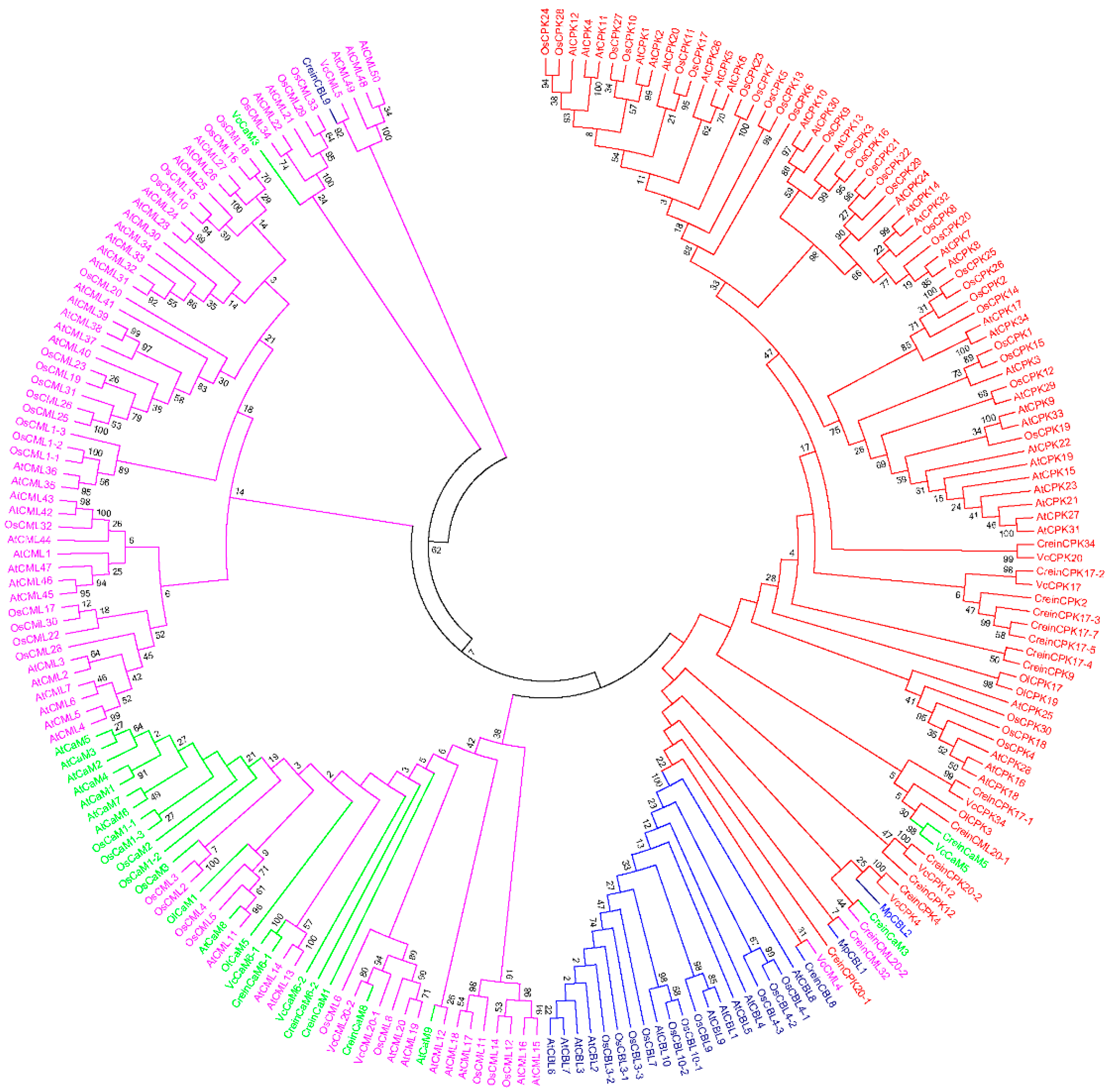 Ijms 20 01476 g009 Ijms 20 01476 g009