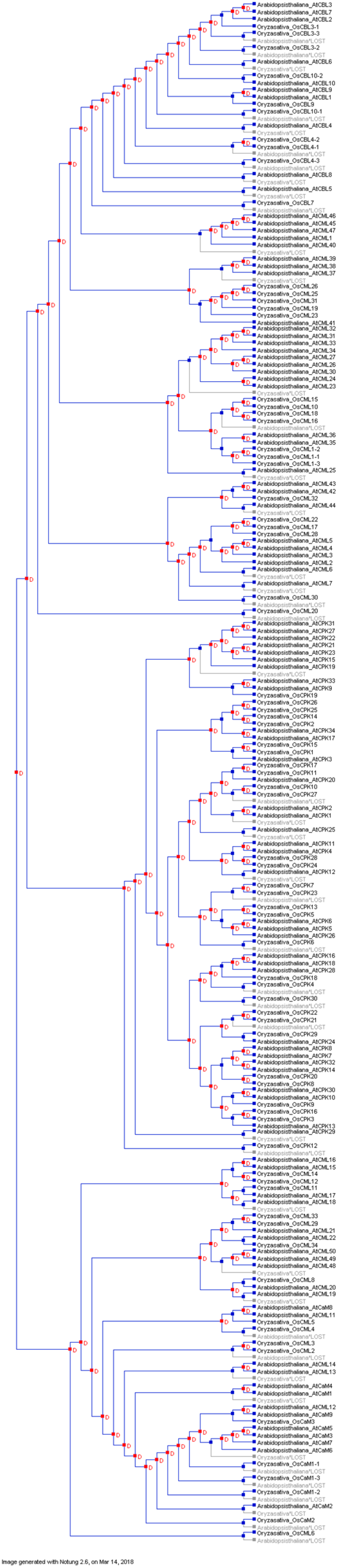 Ijms 20 01476 g010 Ijms 20 01476 g010
