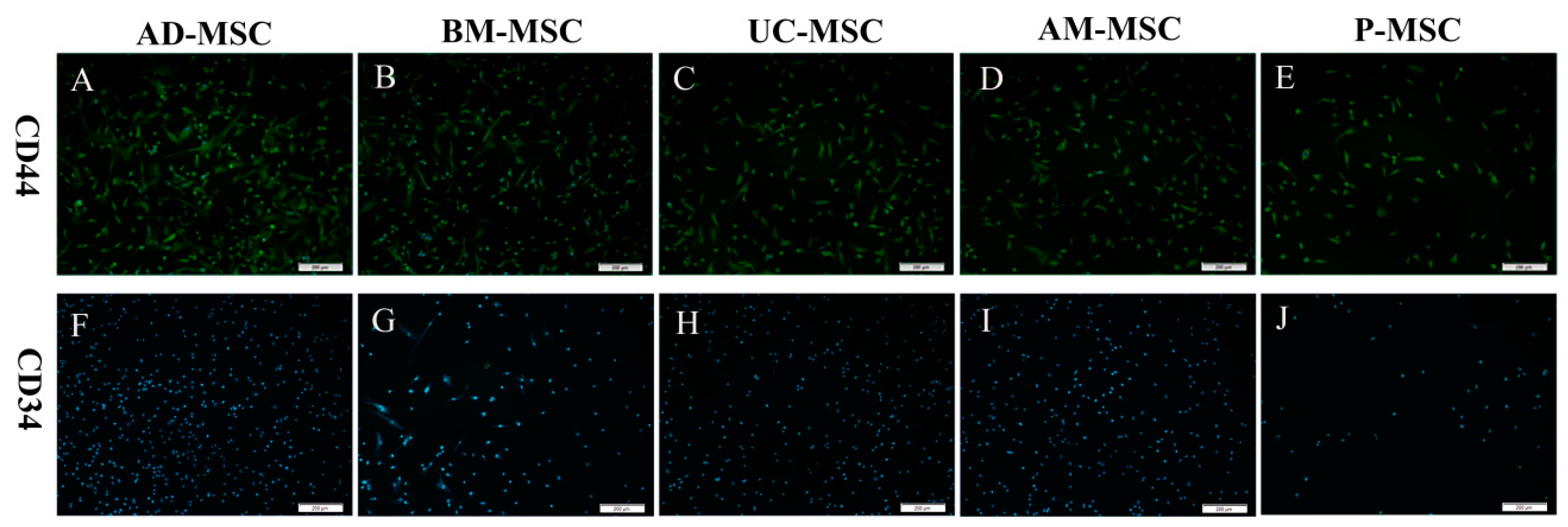 Ijms 20 01485 g003 Ijms 20 01485 g003