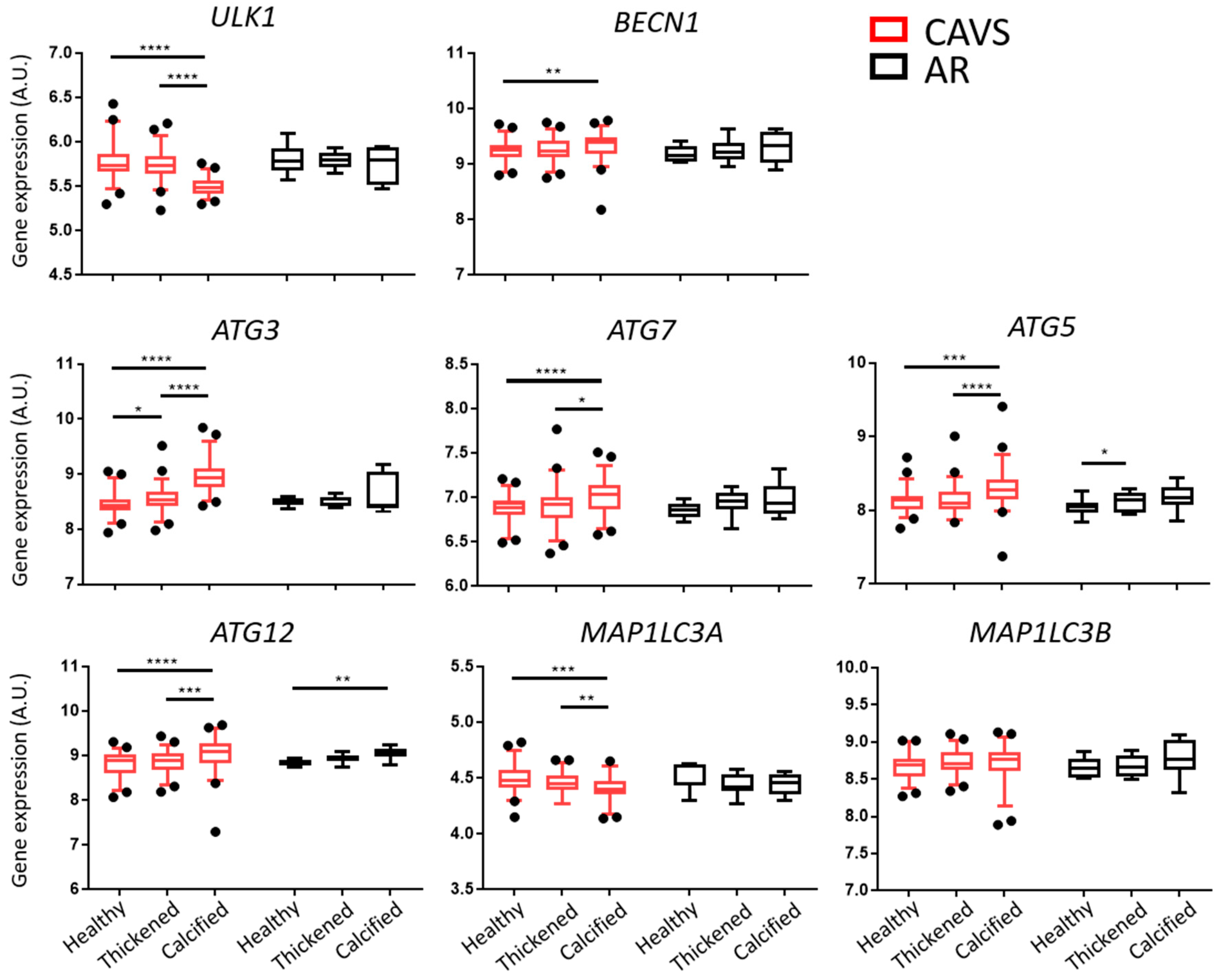 Ijms 20 01486 g001 Ijms 20 01486 g001