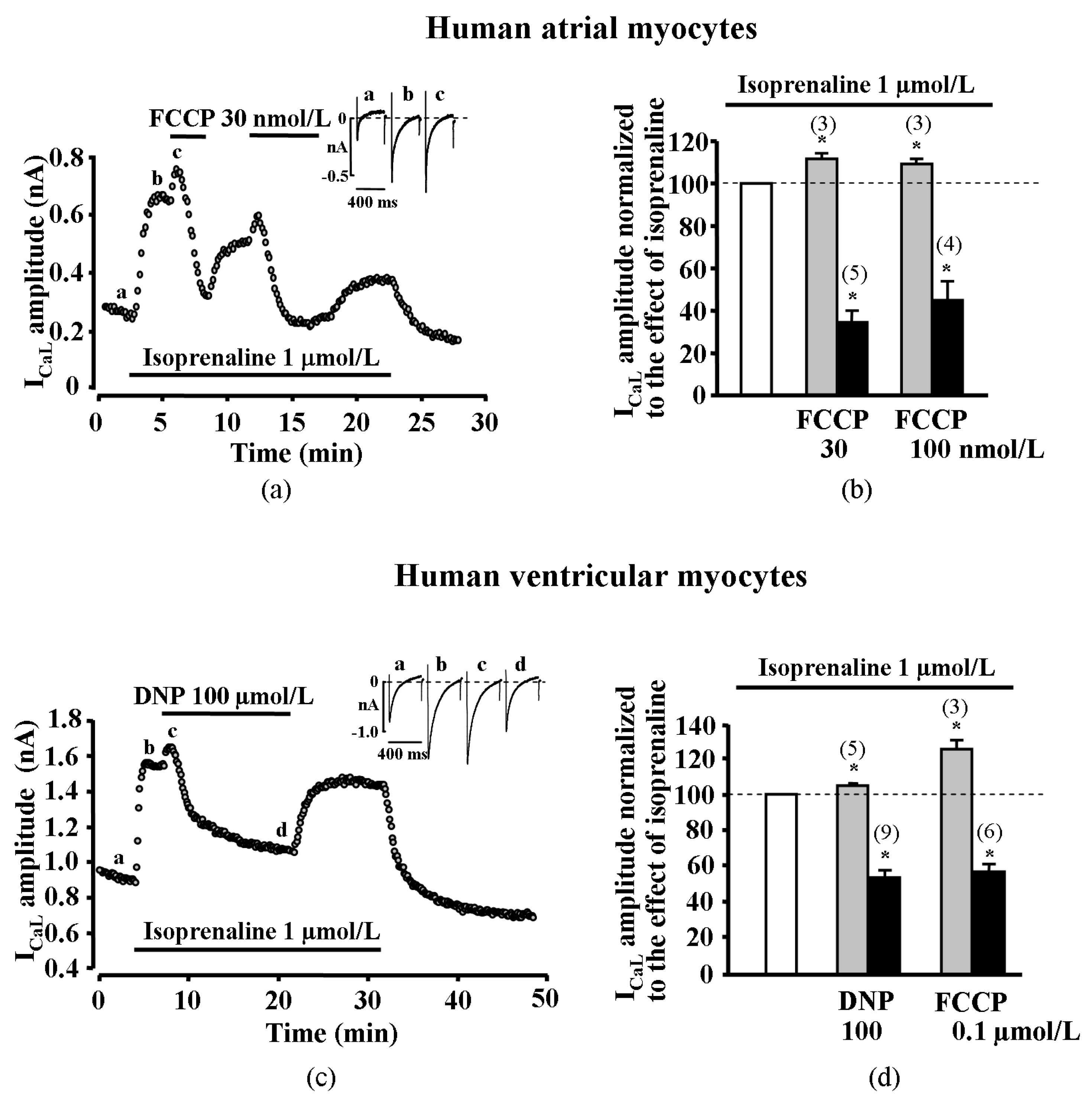 Ijms 20 01501 g001a Ijms 20 01501 g001a