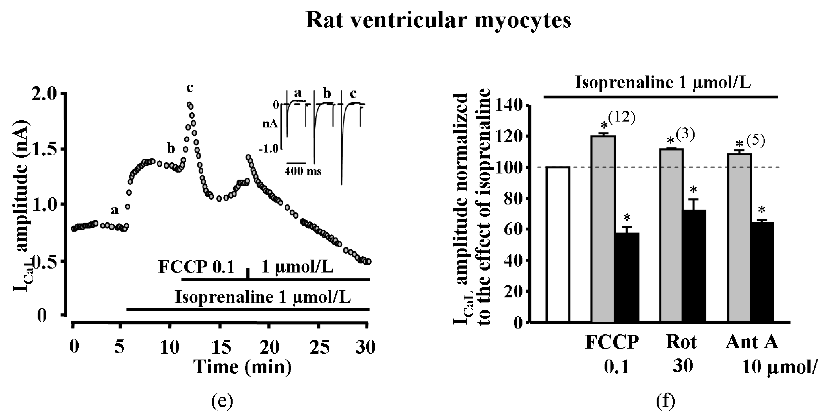 Ijms 20 01501 g001b Ijms 20 01501 g001b