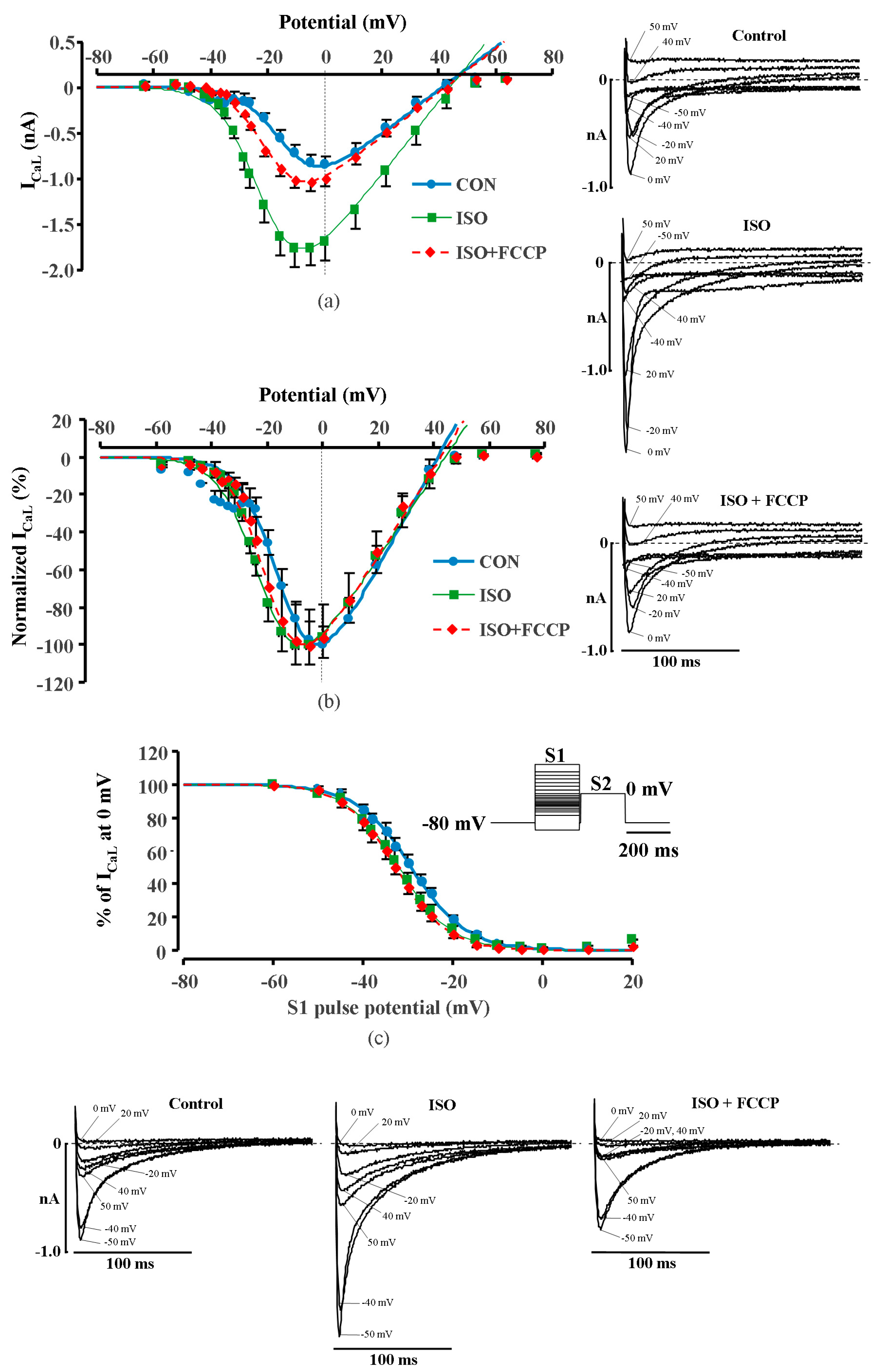 Ijms 20 01501 g002 Ijms 20 01501 g002